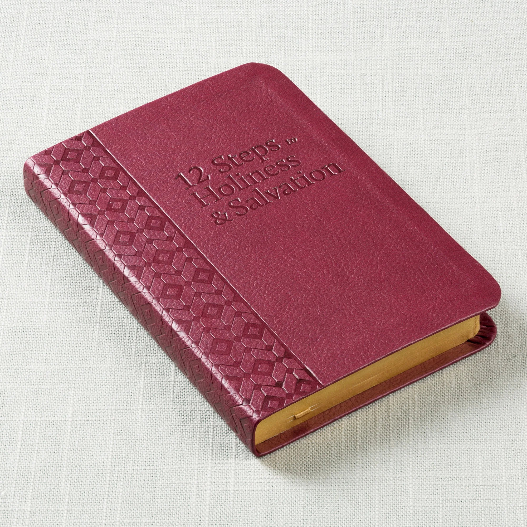 12 Steps to Holiness and Salvation - Image 2