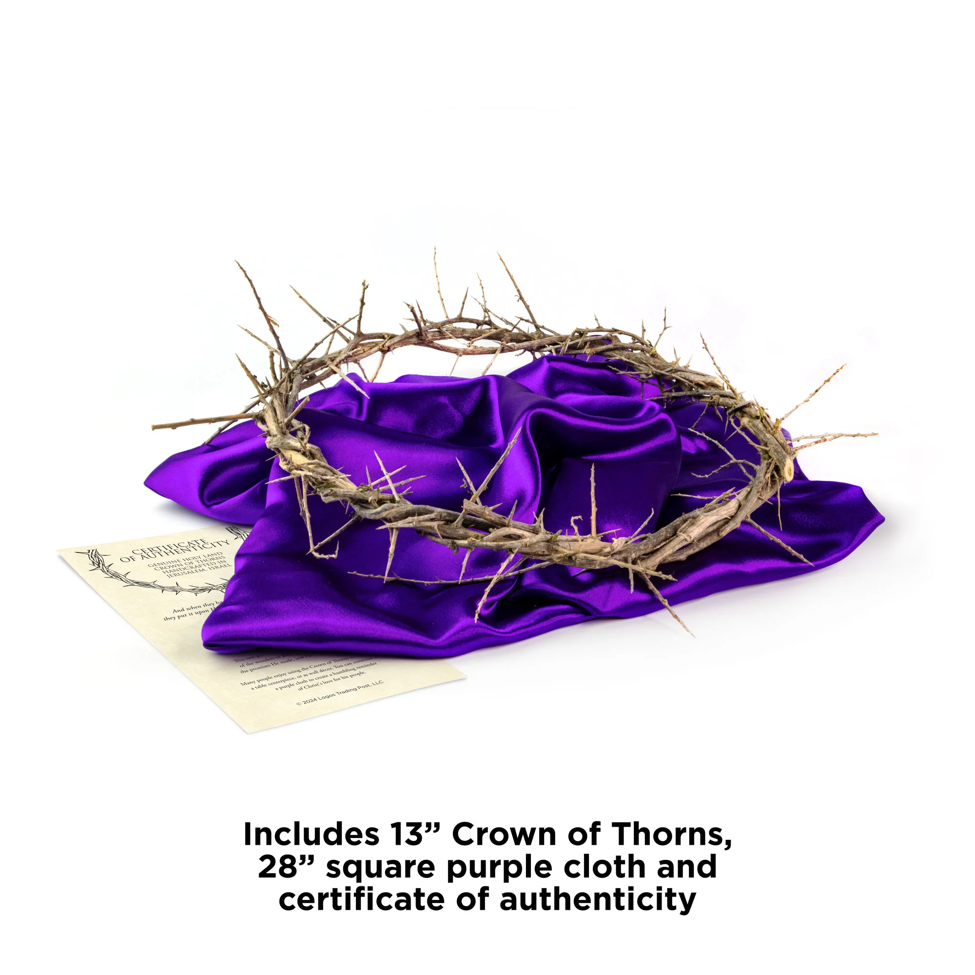 13" Crown of Thorns with Purple Cloth - Image 4
