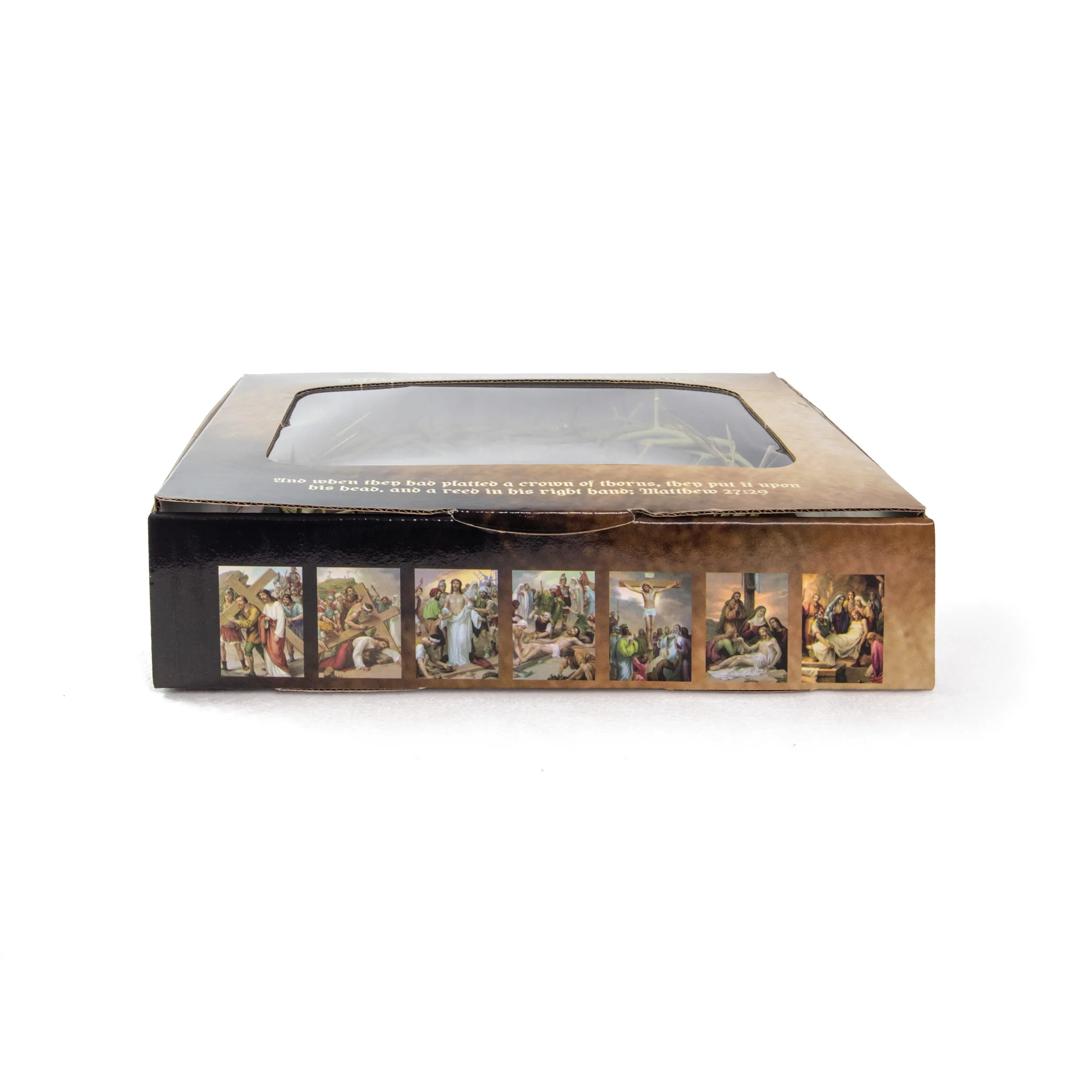 9" Crown of Thorns in Display Box - Image 3
