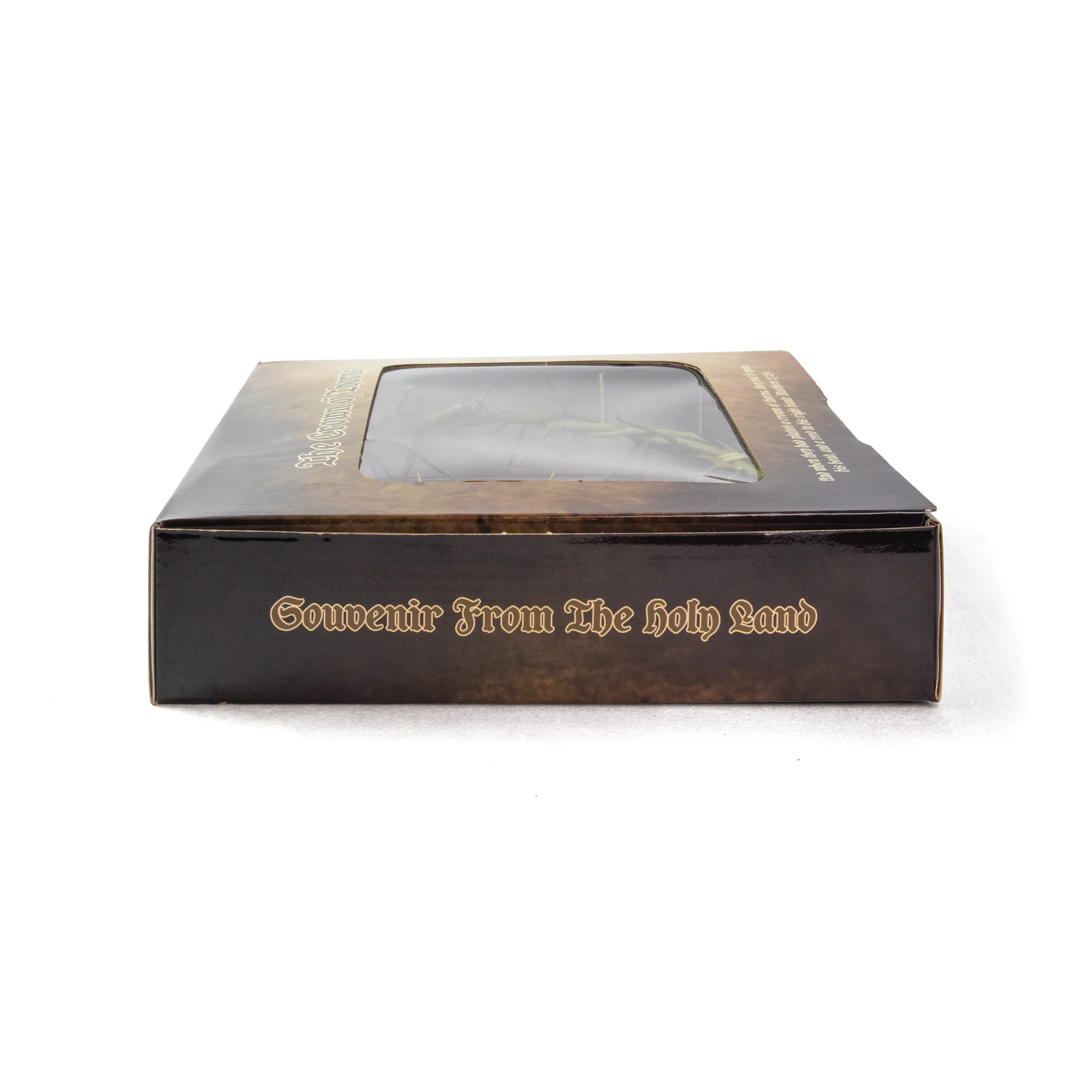 9" Crown of Thorns in Display Box - Image 5