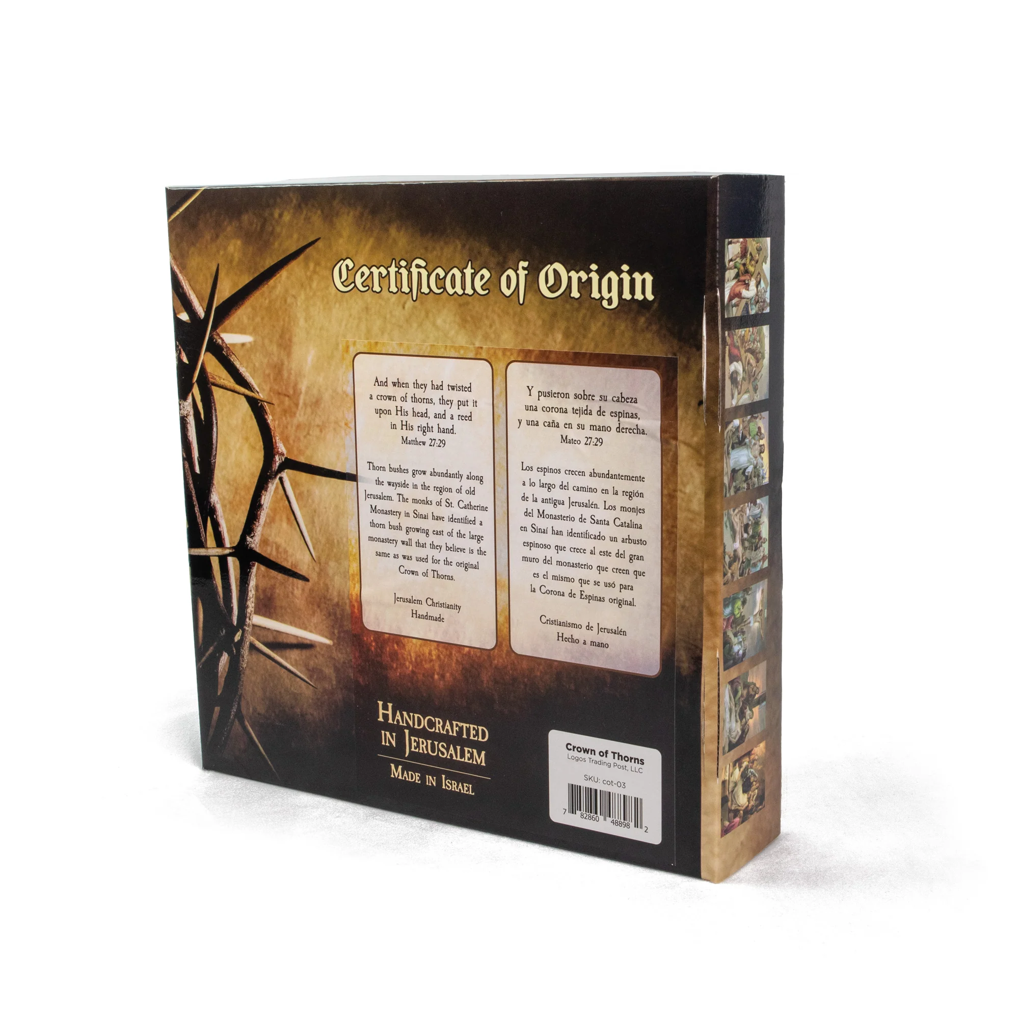 9" Crown of Thorns in Display Box - Image 6