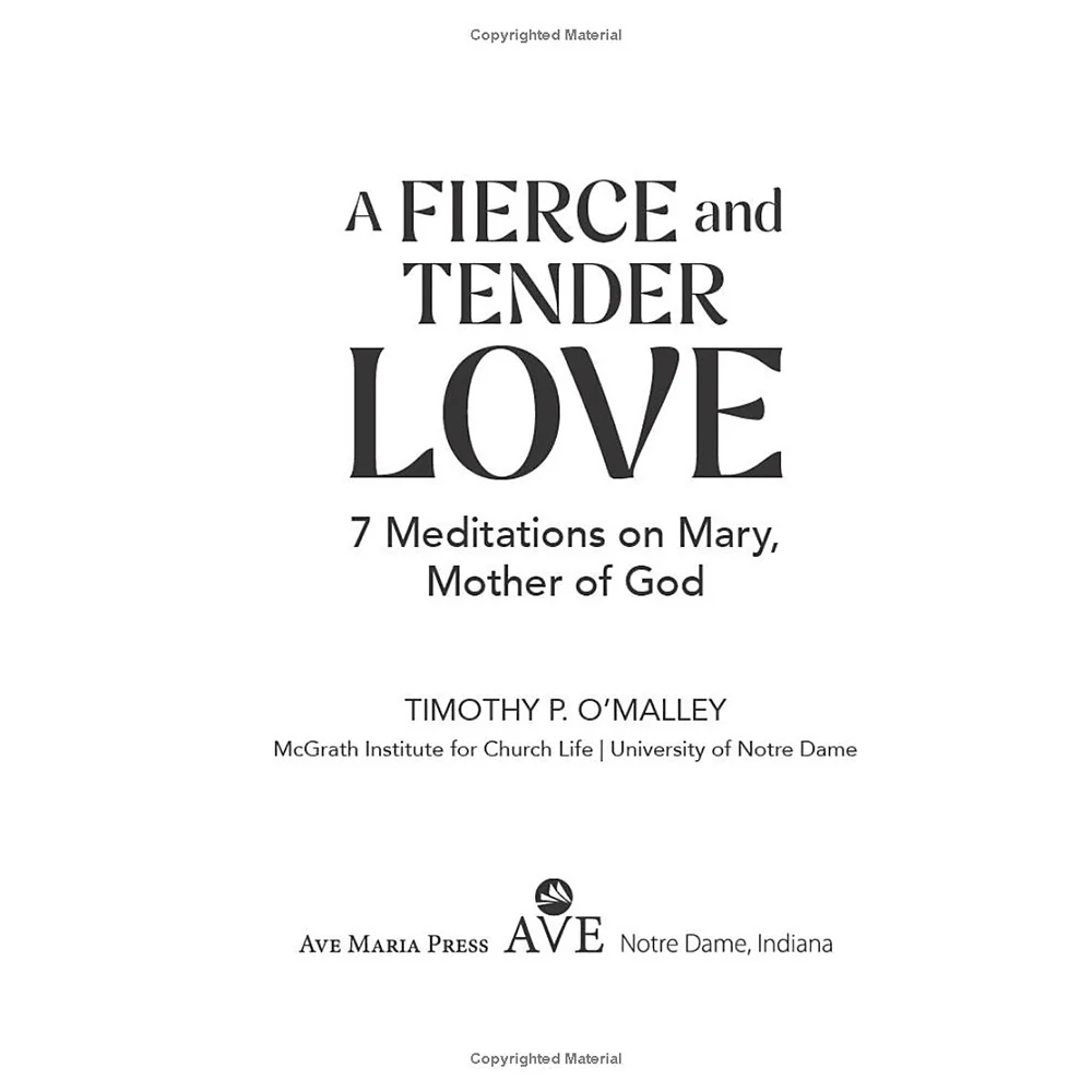 A Fierce and Tender Love: 7 Meditations on Mary, Mother of God - Image 3