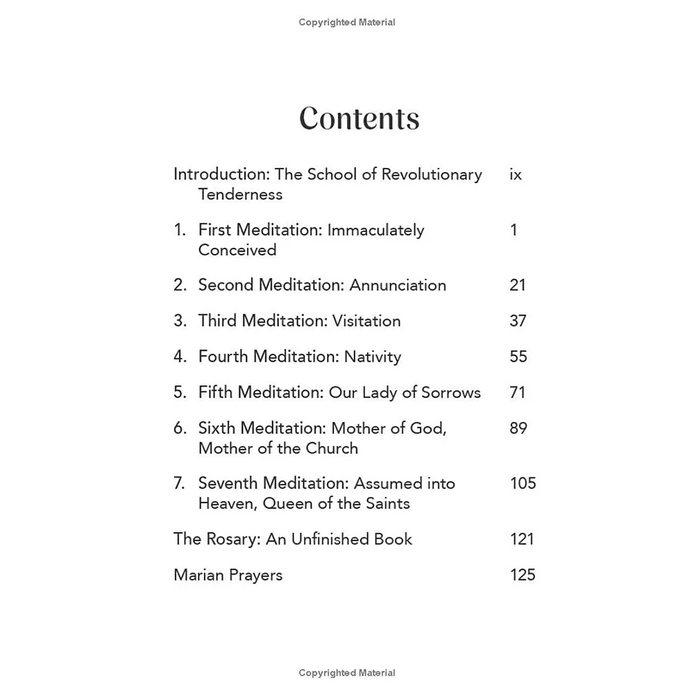A Fierce and Tender Love: 7 Meditations on Mary, Mother of God - Image 5
