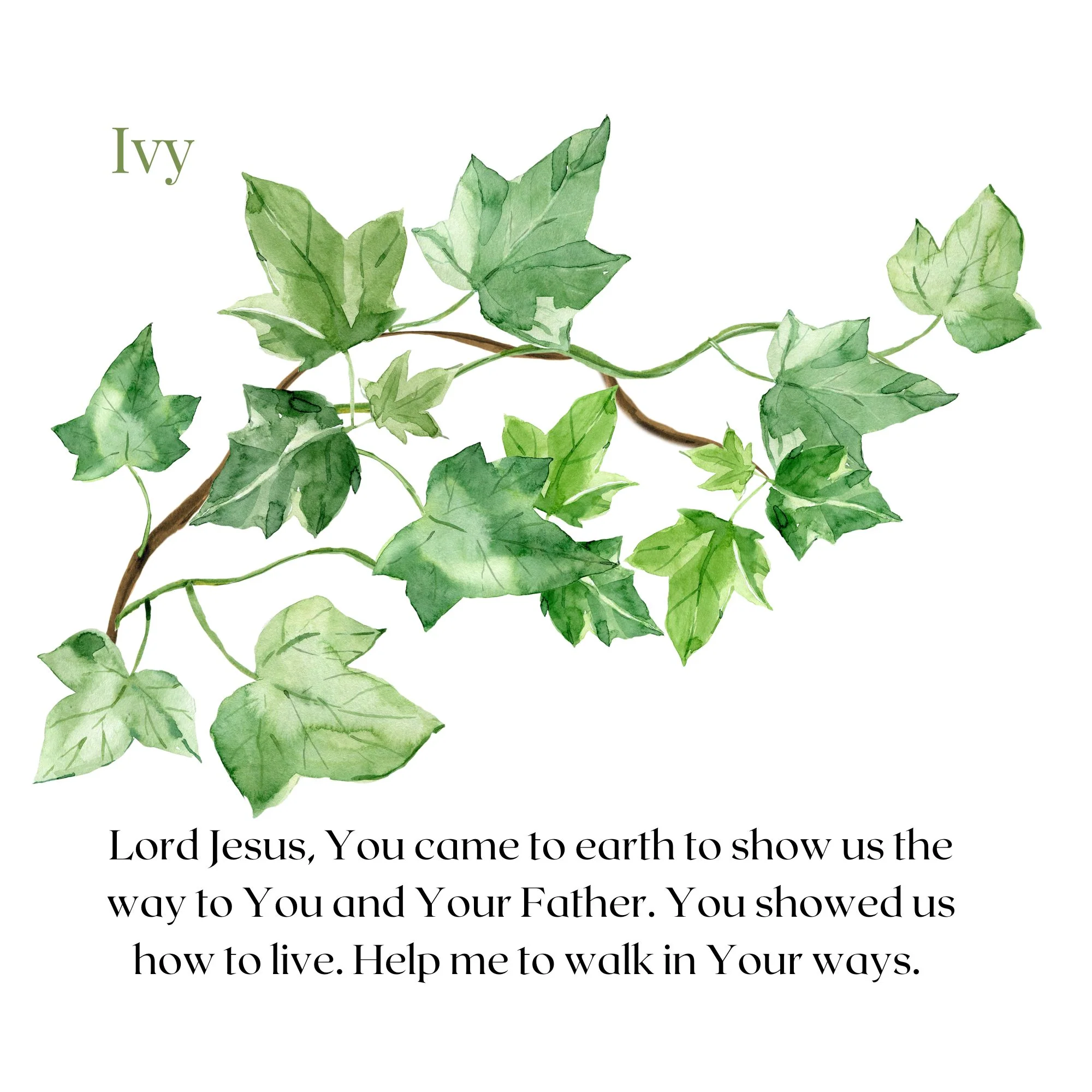 A Garden for Jesus (Parent-Child Reader) - Image 2