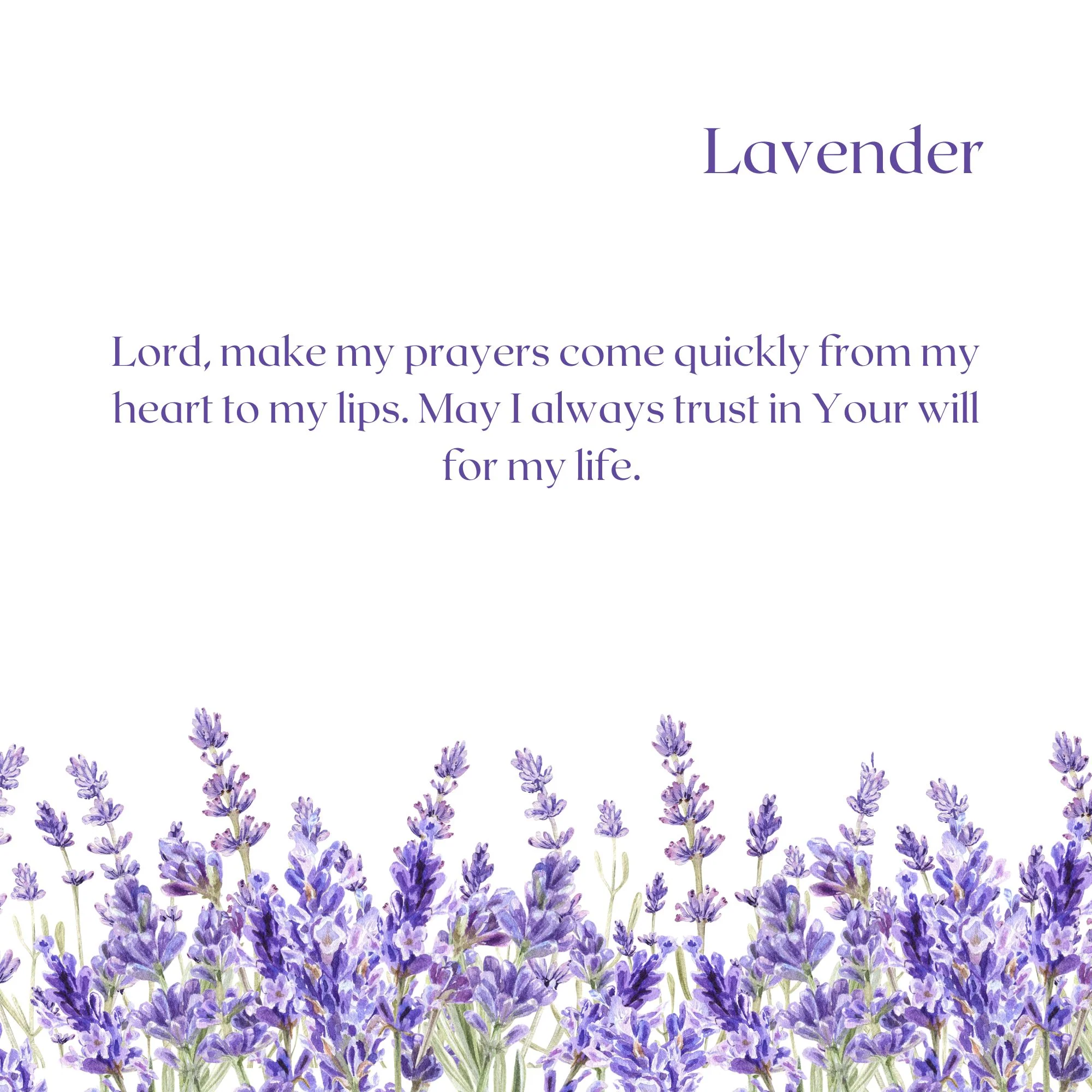 A Garden for Jesus (Parent-Child Reader) - Image 3