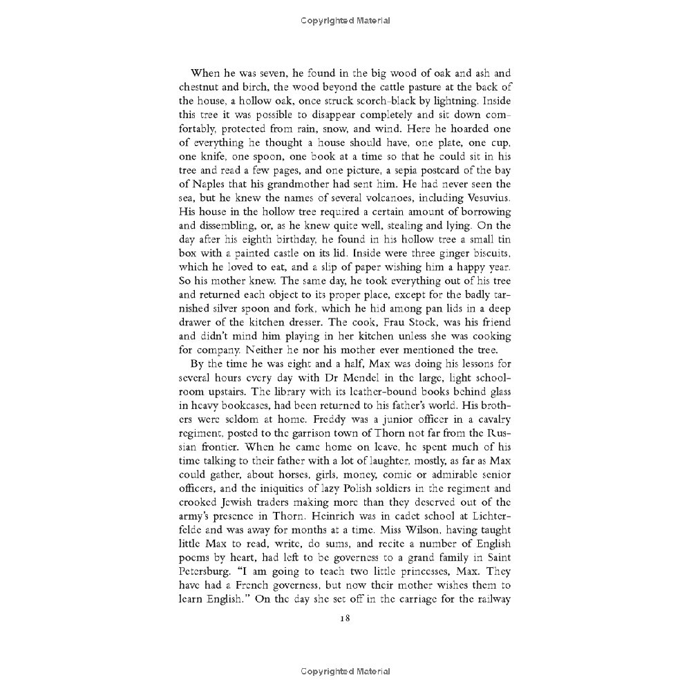 A Postcard from the Volcano: A Novel of Pre-War Germany - Image 7