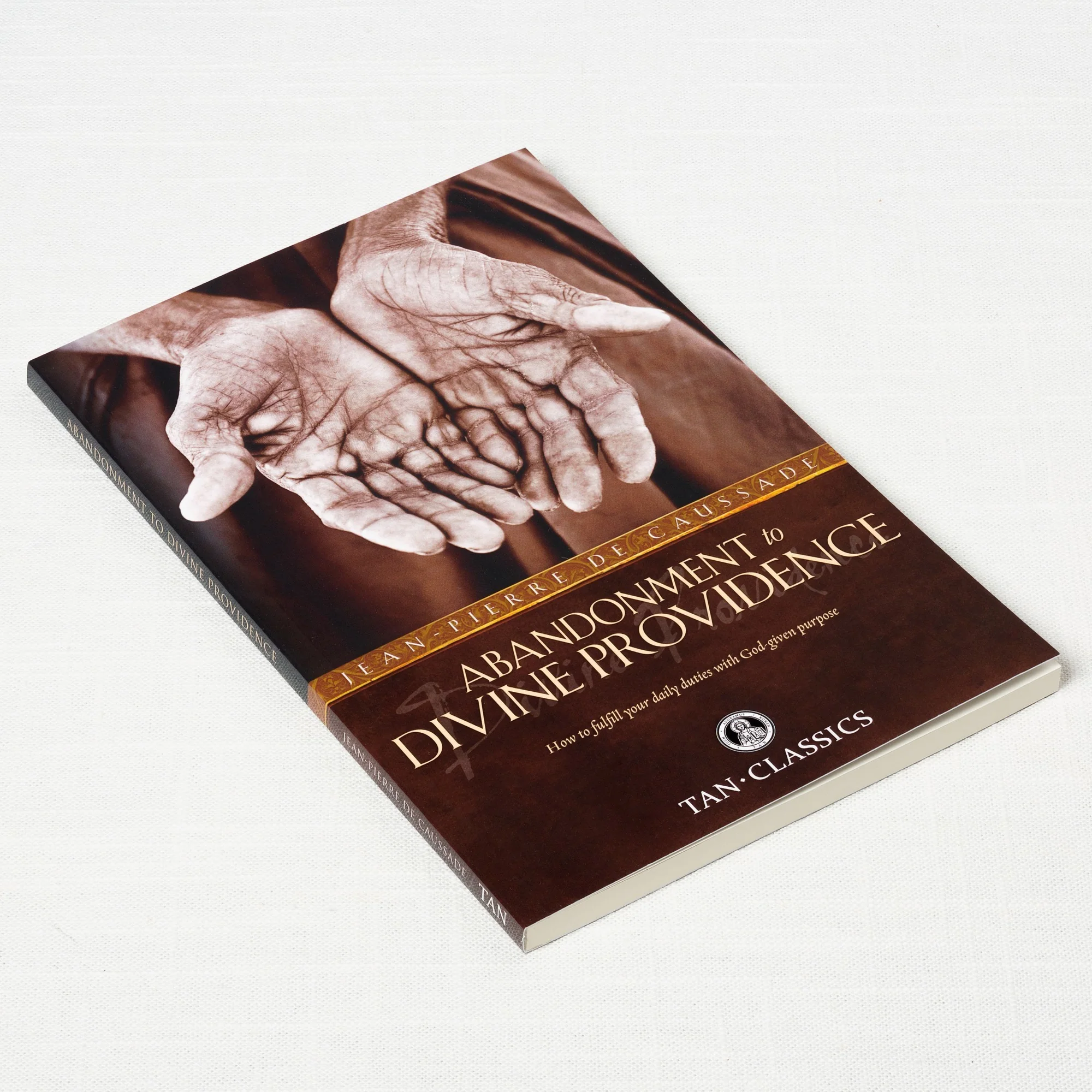 Abandonment to Divine Providence - Image 2