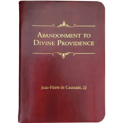 Abandonment to Divine Providence - Gift Edition - Image 2