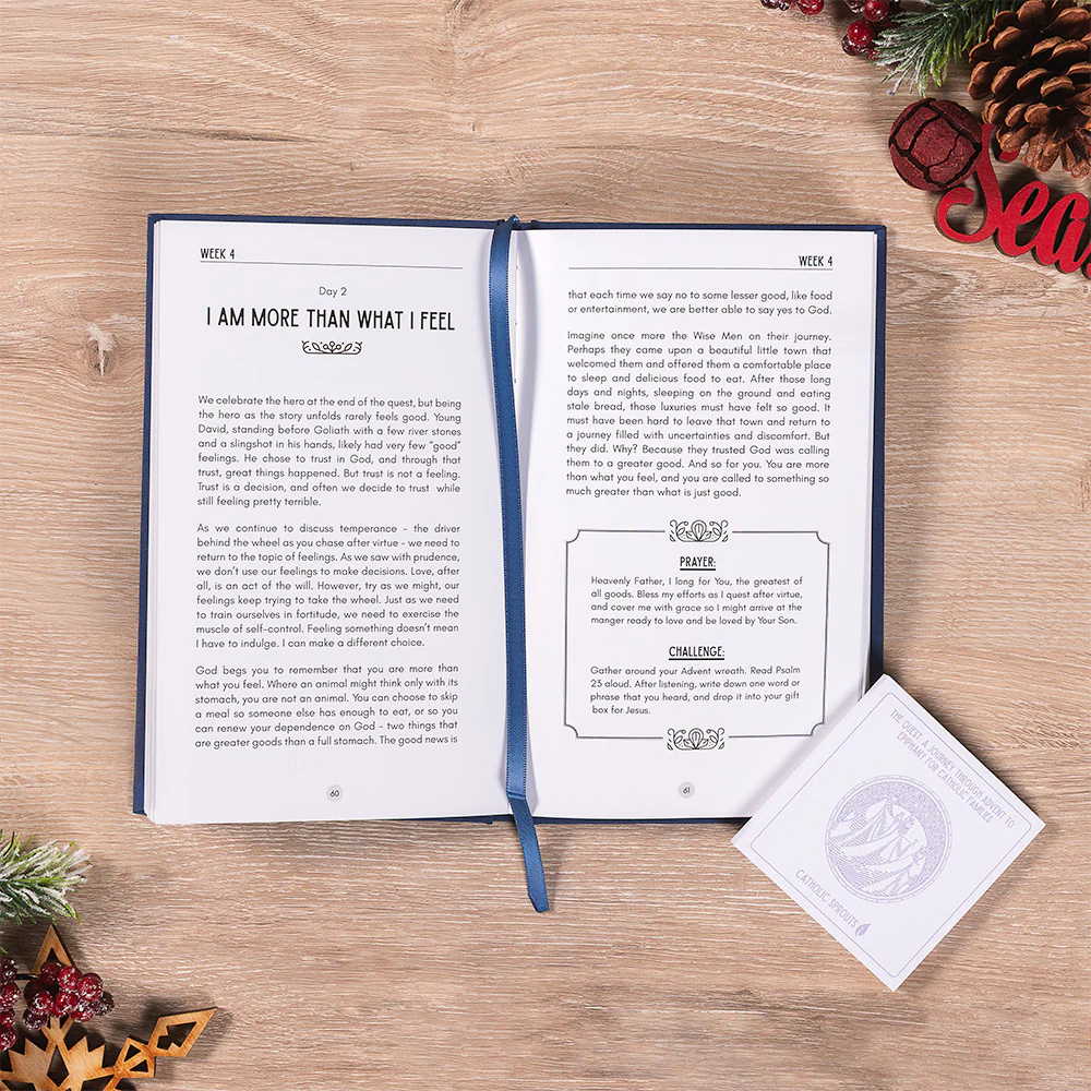 Advent to Christmas Devotional & Coloring Book Family Gift Set - Image 3