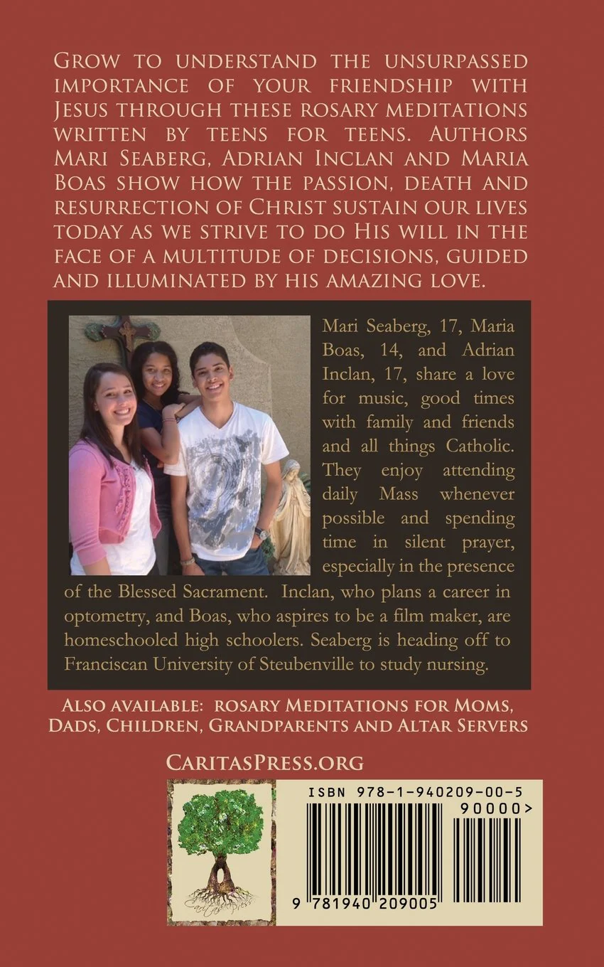Amazing Love: Rosary Meditations for Teens - Image 2