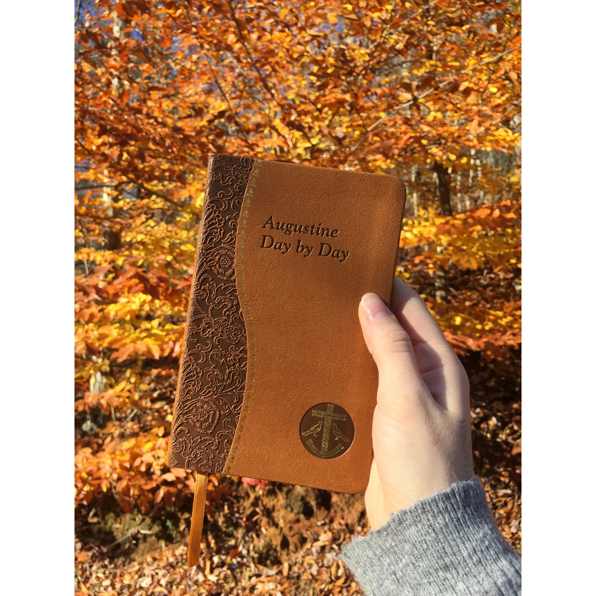 Augustine Day by Day: Minute Meditations For Every Day - Image 5