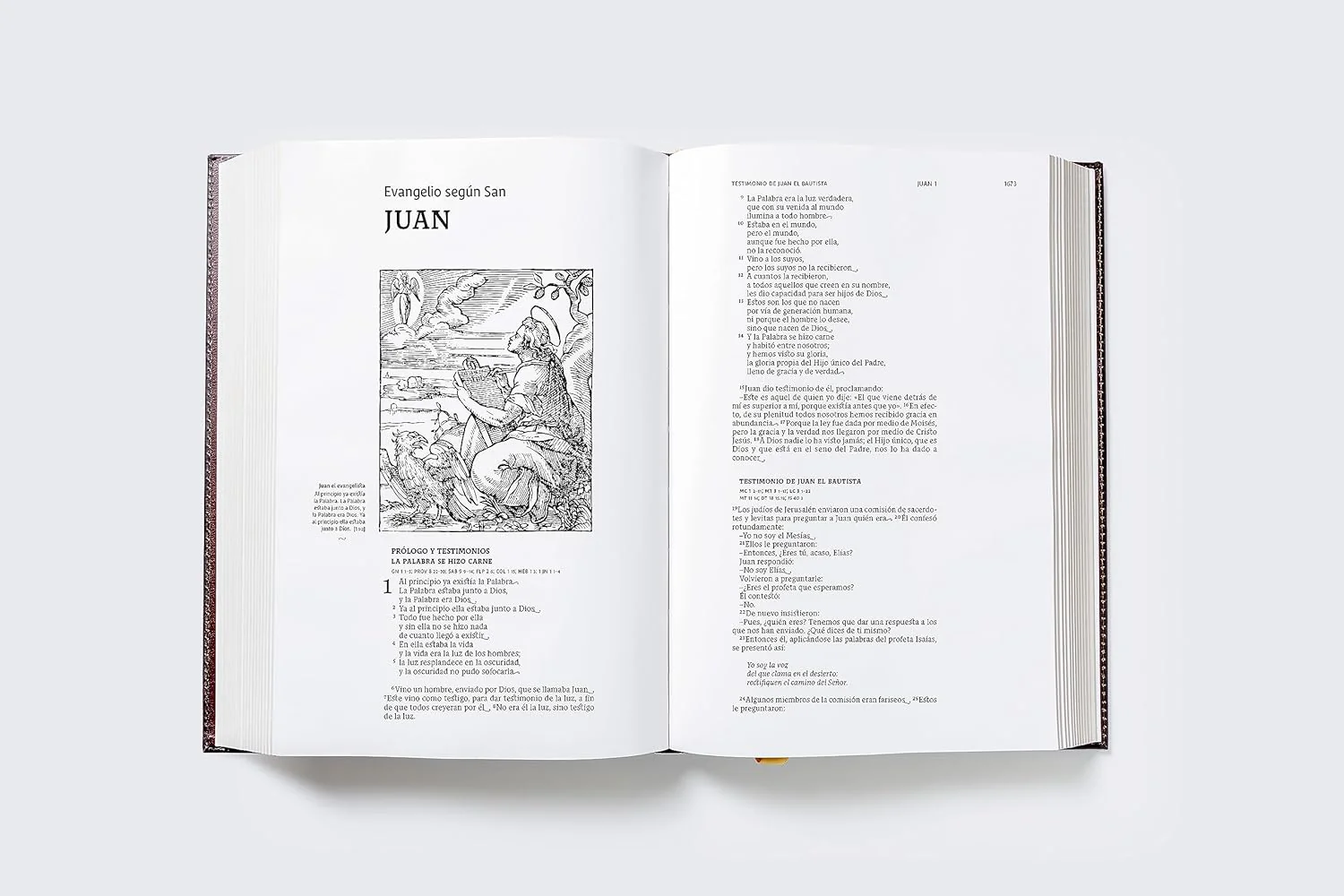 Biblia Católica Ilustrada - Illustrated Catholic Bible: Spanish Edition - Image 2
