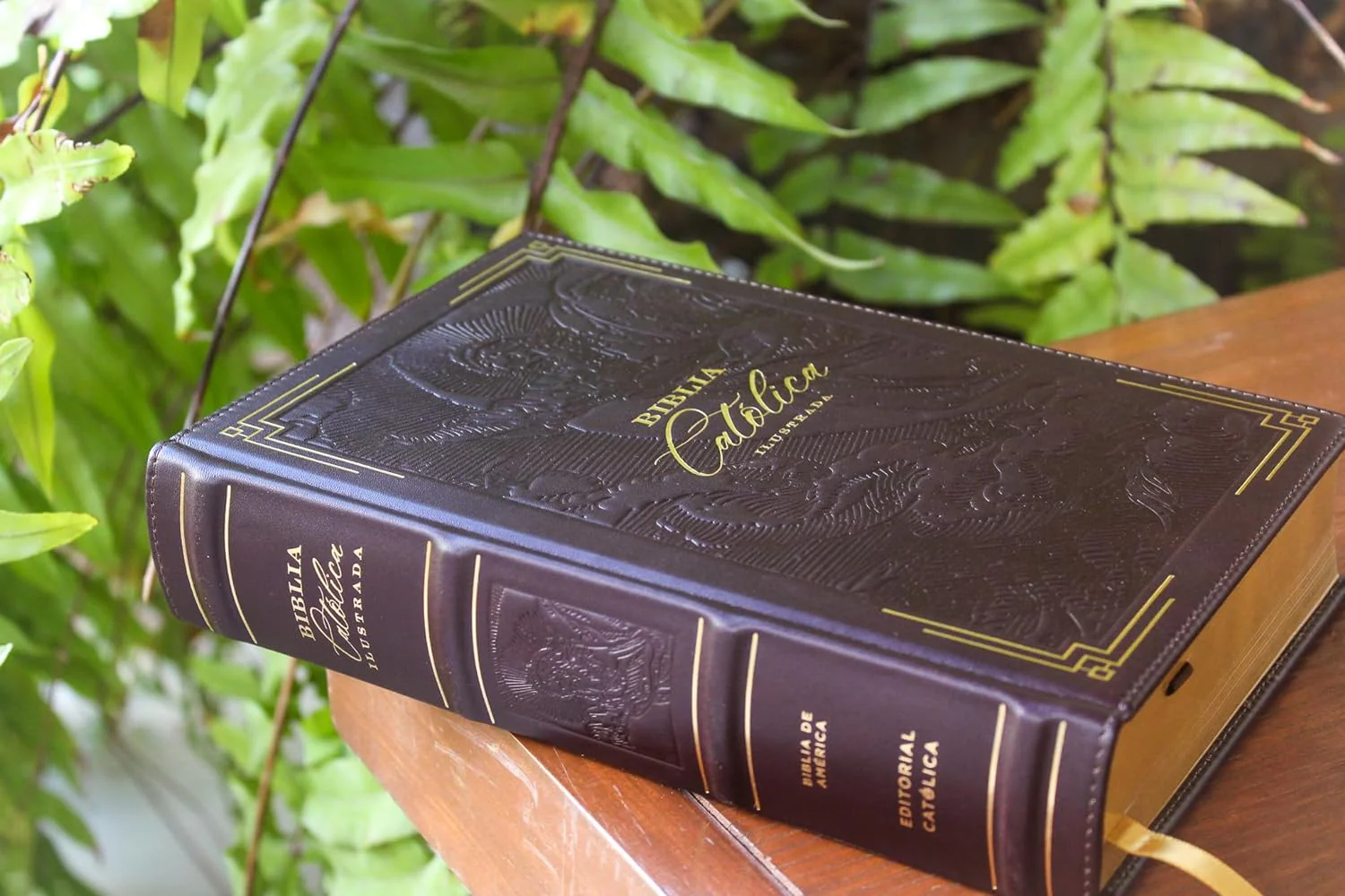 Biblia Católica Ilustrada - Illustrated Catholic Bible: Spanish Edition - Image 5