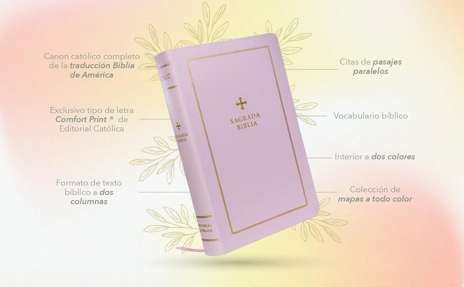 Biblia Catolica Regalos y Ceremonias - Catholic Gift Bible for Sacraments: Spanish Edition - Image 6