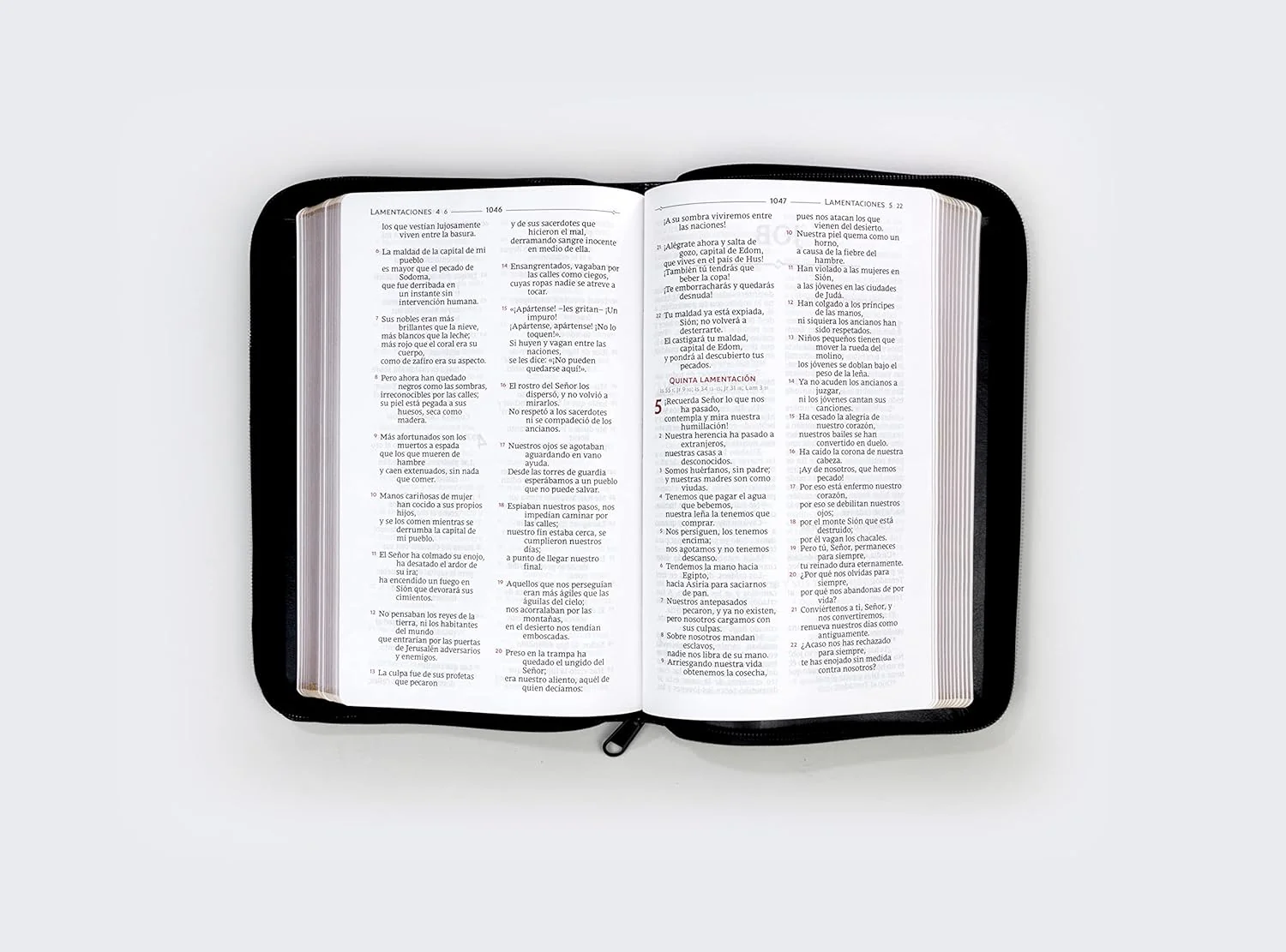 Biblia Catolica Tamaño Personal Con Cierre - Zippered Catholic Bible: Spanish Edition - Image 5
