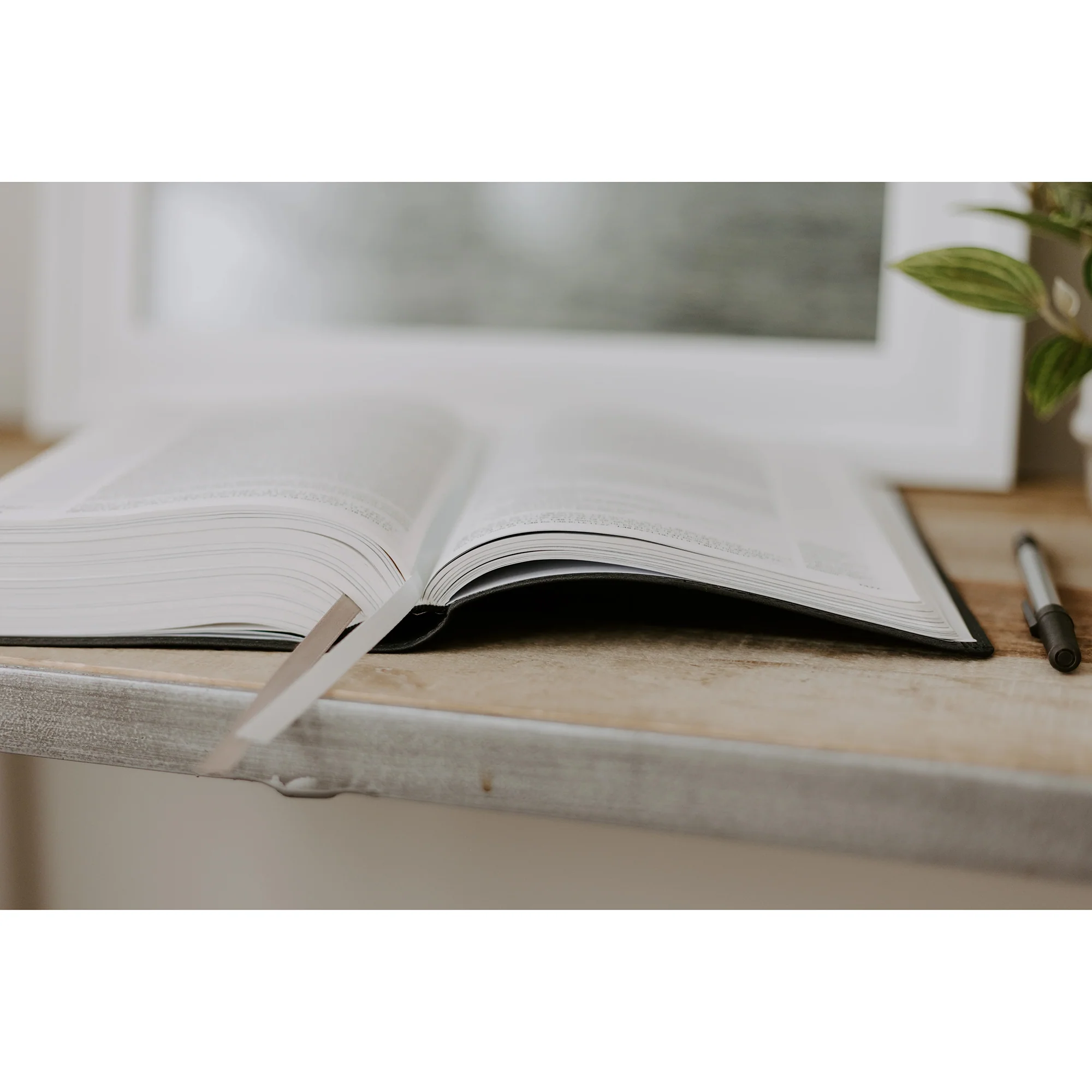 Blessed Is She Single-Column Journaling Bible NRSV-CE - Image 4