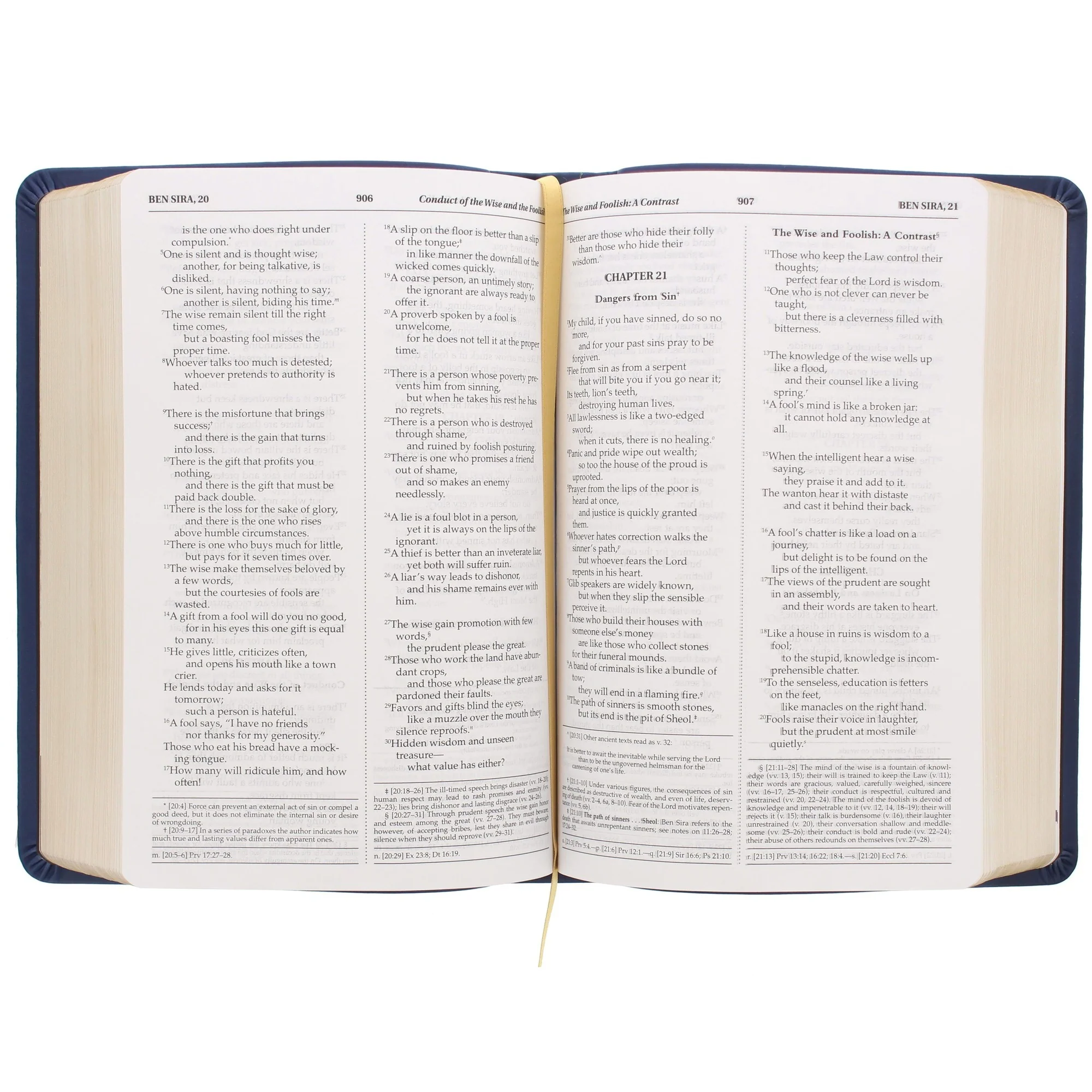 Blue Song of Angels Bible - Image 4