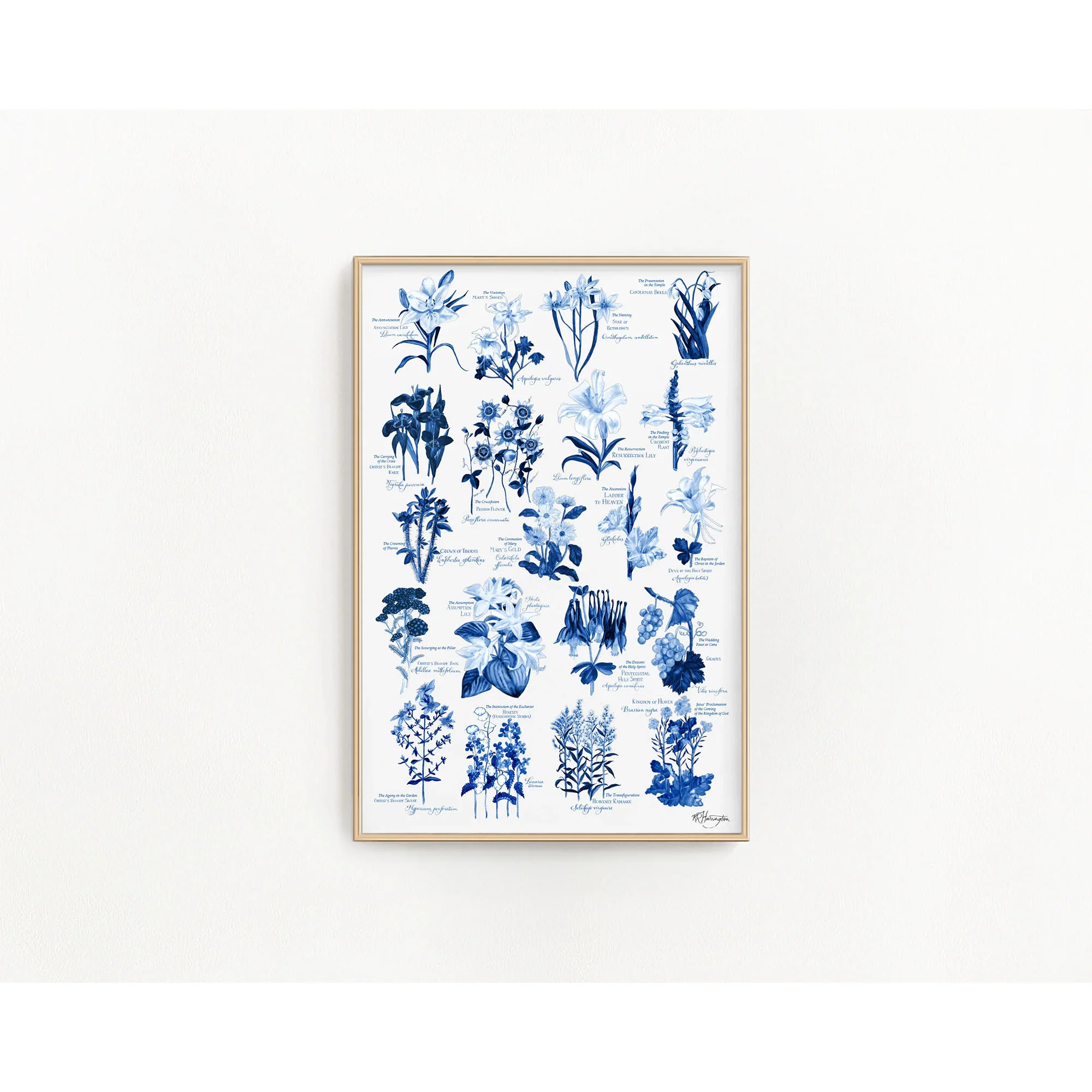 Blue & White Botanical Rosary Mysteries Print