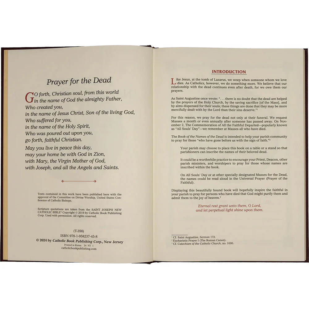 Book of the Names of the Dead - Image 5