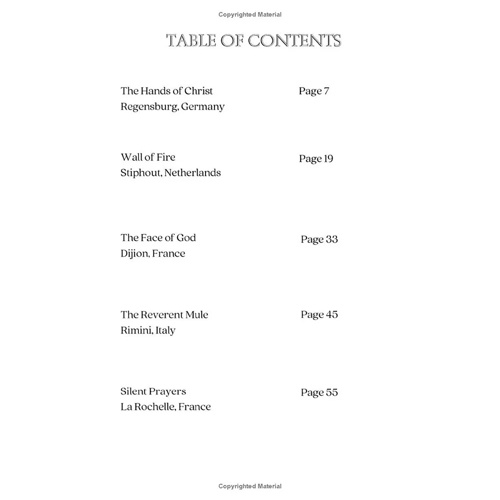 Bread of Life: Eucharistic Miracles for Young Readers (Vol 1 & 2) - Image 8