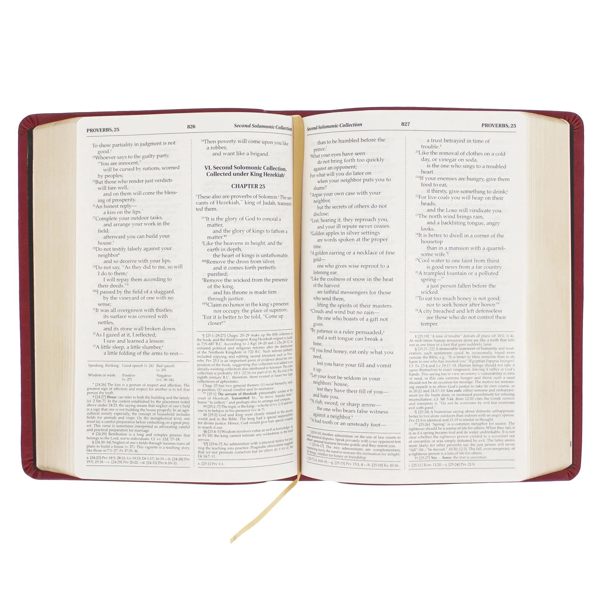Burgundy Red Premium Ultra Soft Bible - Image 3