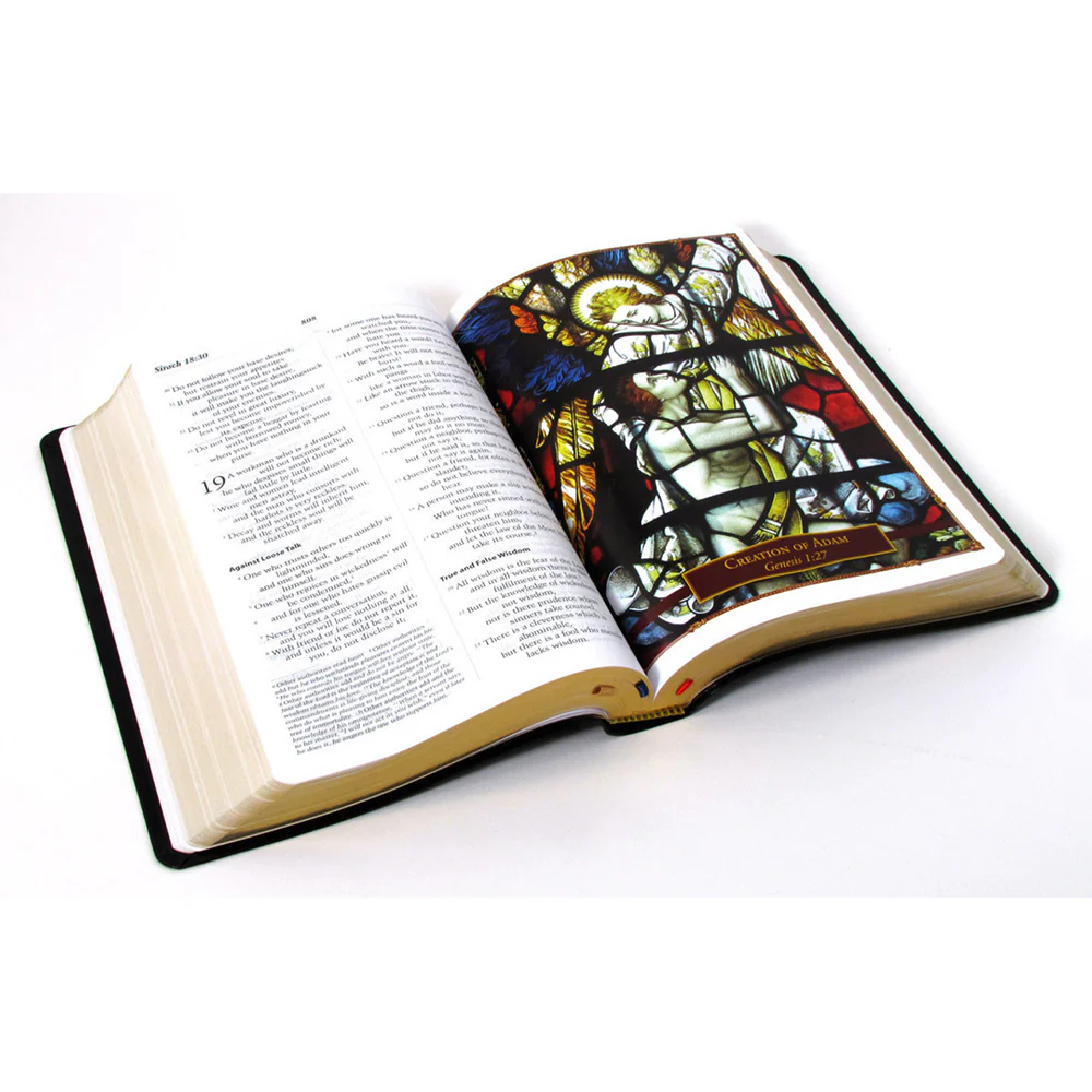 Catholic Scripture Study Bible - RSV Large Print Edition - Image 4