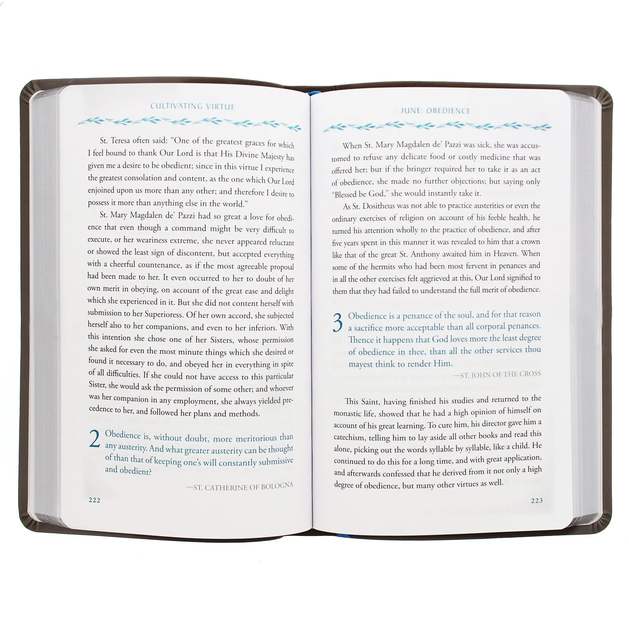 Cultivating Virtue: Self-Mastery With the Saints - Image 2