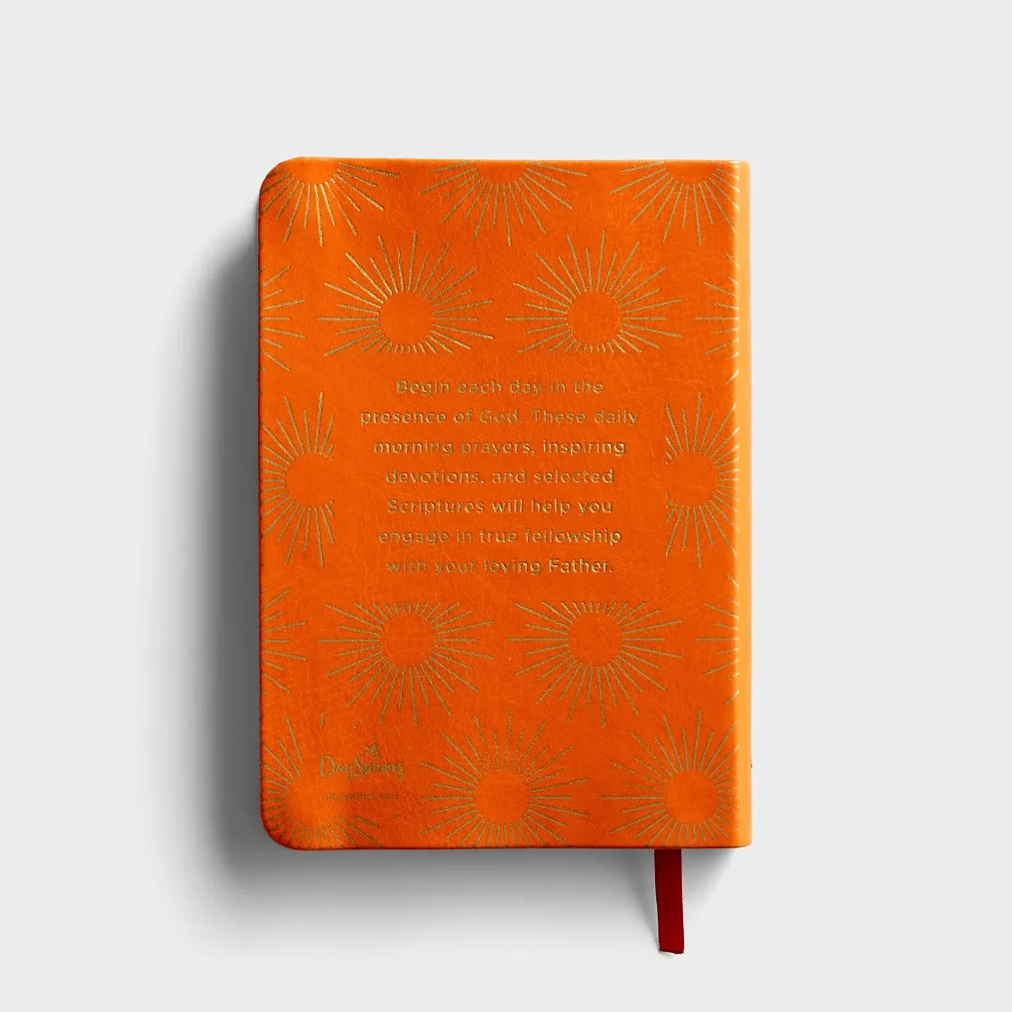 Daily Prayers for Mornings - Image 4
