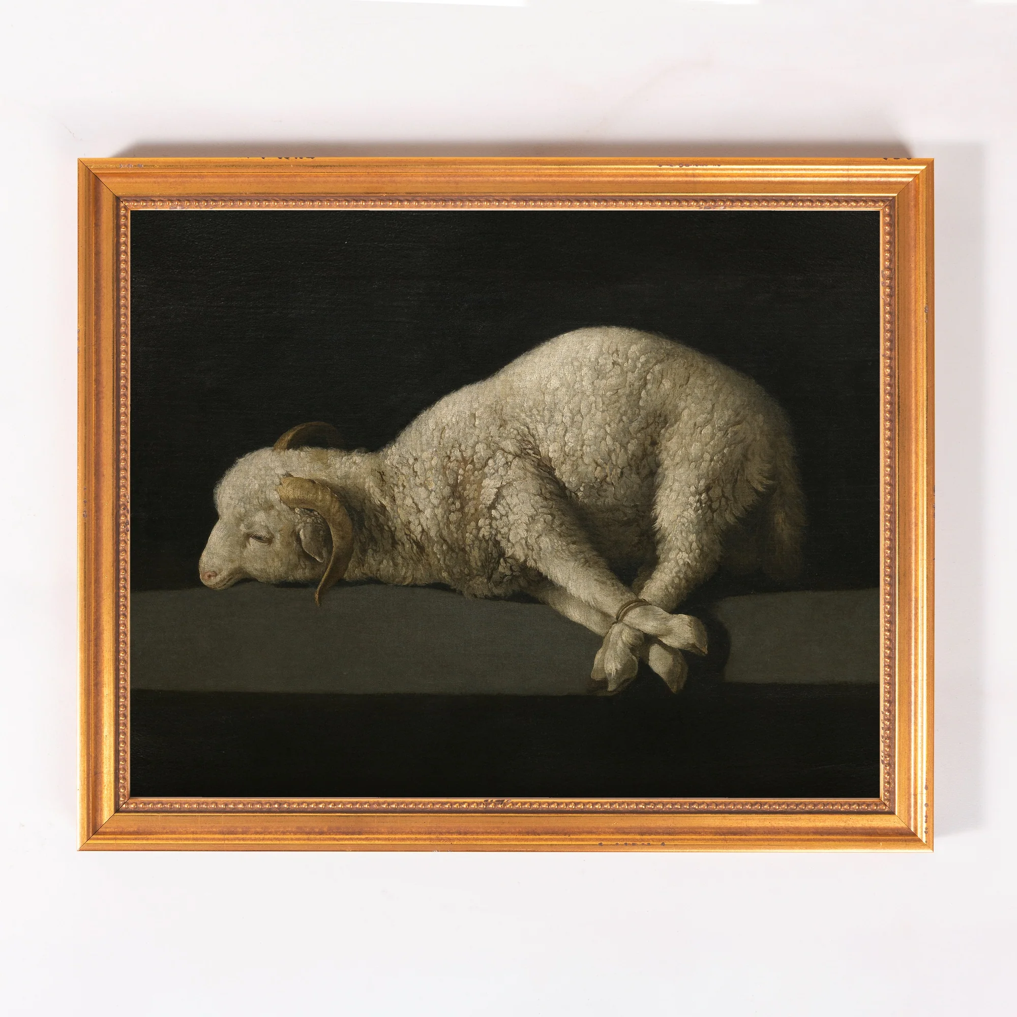 de Zurbaran's Agnus Dei Framed Canvas - Sacred Classics Collection - Image 4