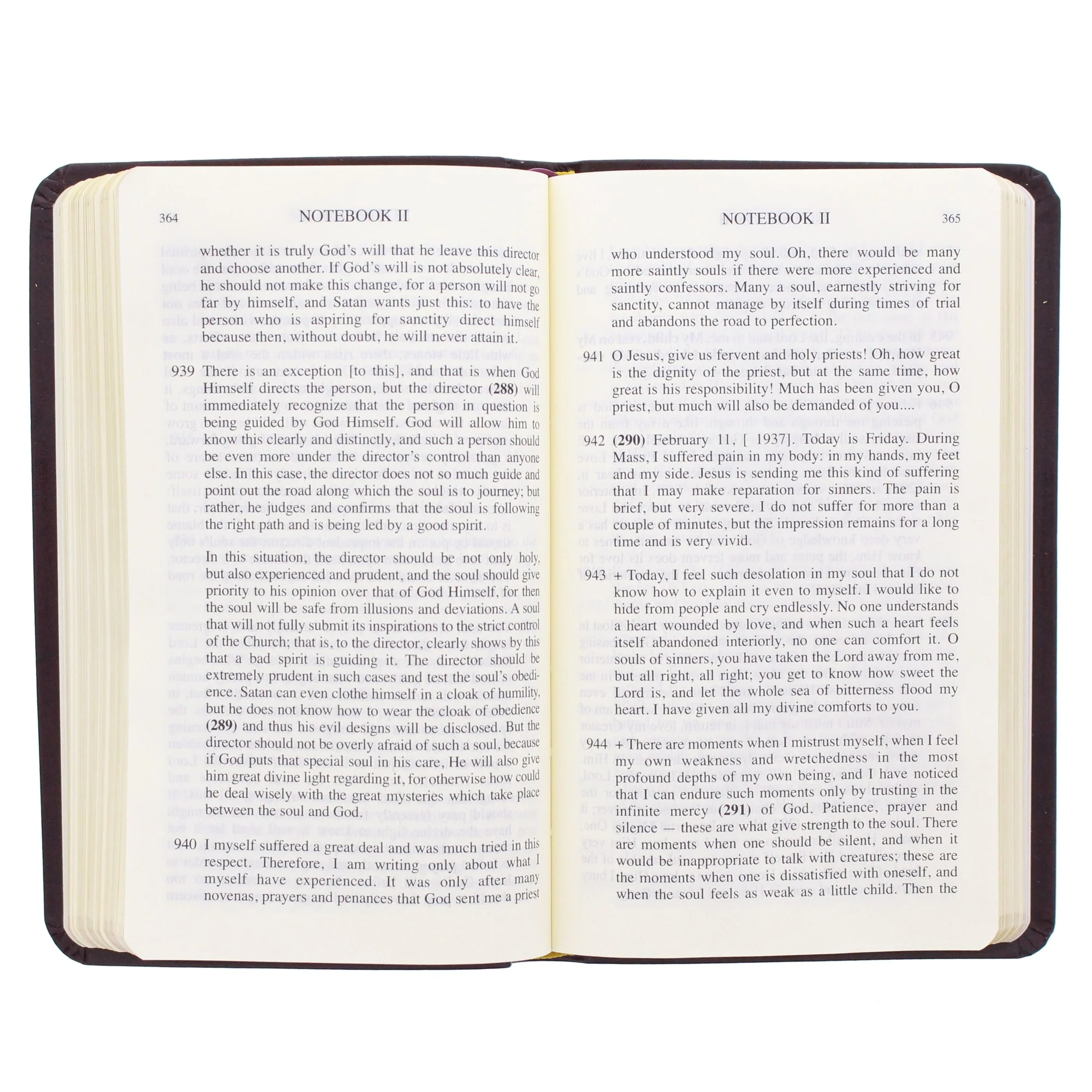 Diary of Saint Maria Faustina Kowalska - Divine Mercy in My Soul (Leather Cover) - Image 2
