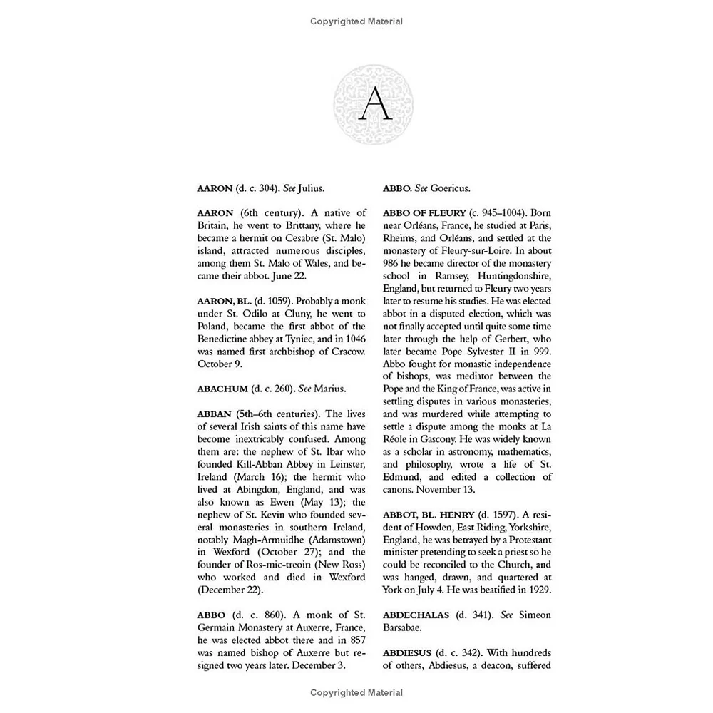 Dictionary of Saints - Image 5