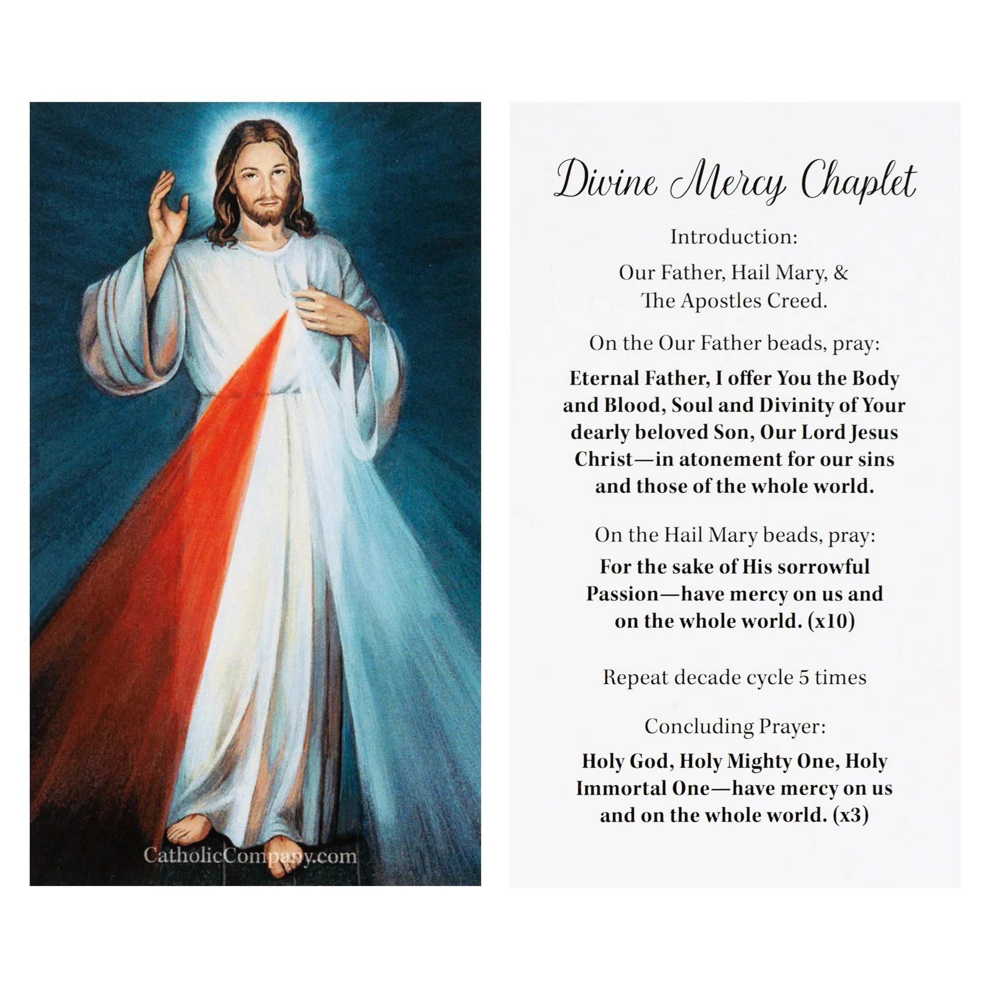 Divine Mercy Image and Chaplet Prayer Card - Image 2
