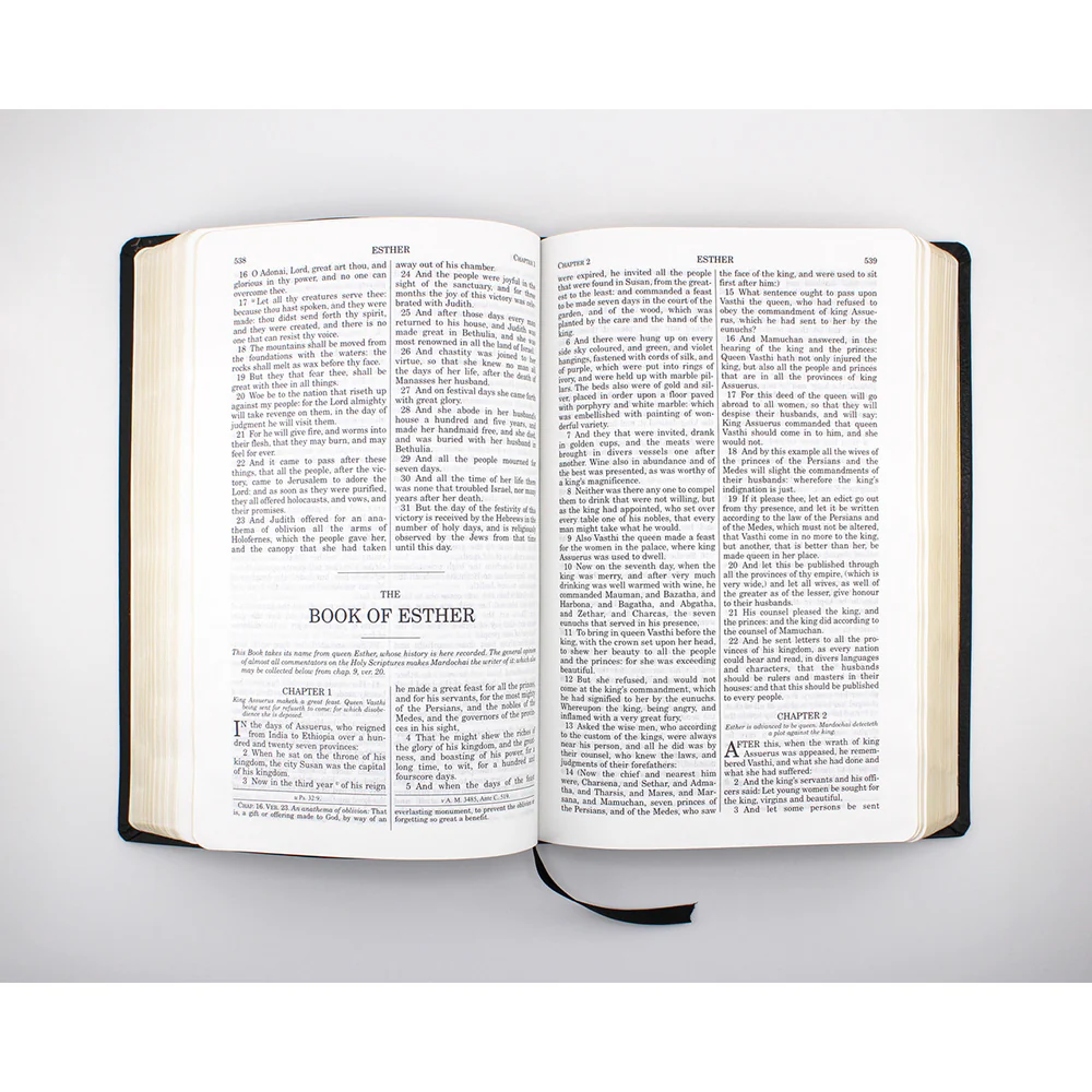 Douay Rheims Bible - Black Cover - Image 2