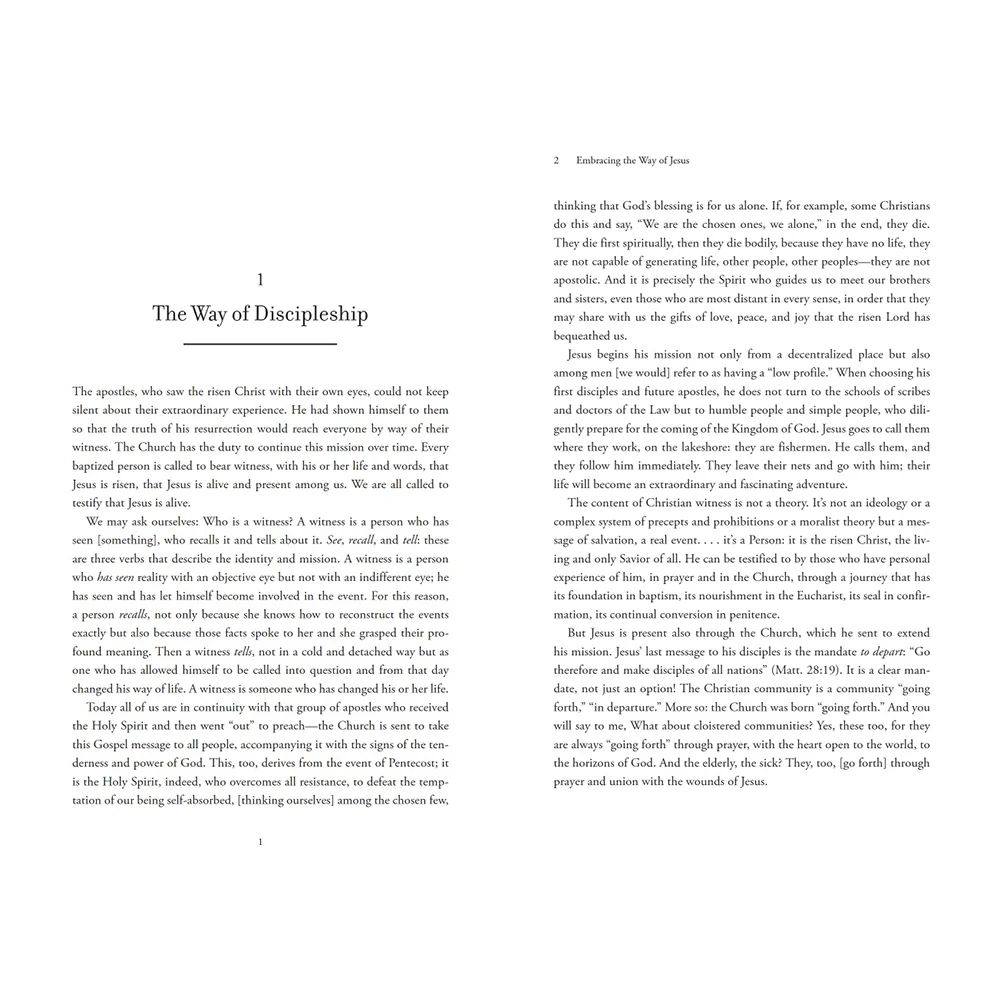 Embracing the Way of Jesus: Reflections from Pope Francis on Living Our Faith - Image 12