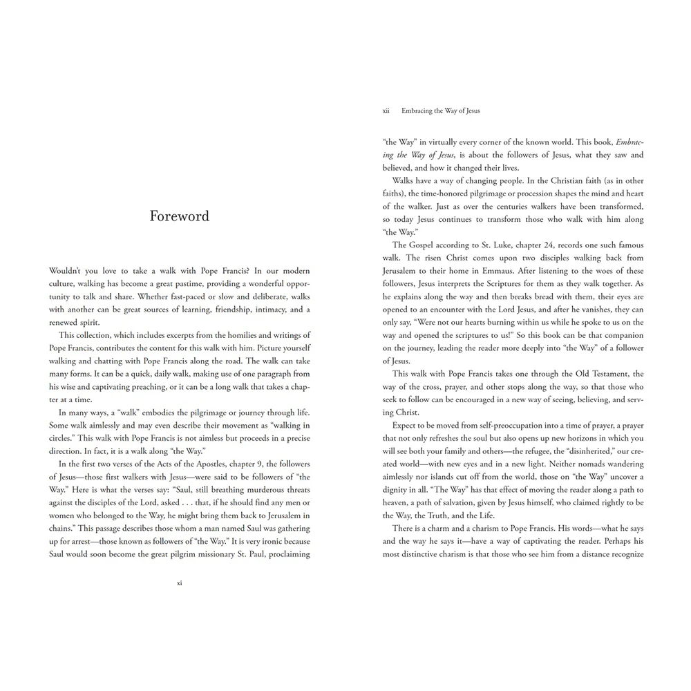 Embracing the Way of Jesus: Reflections from Pope Francis on Living Our Faith - Image 4