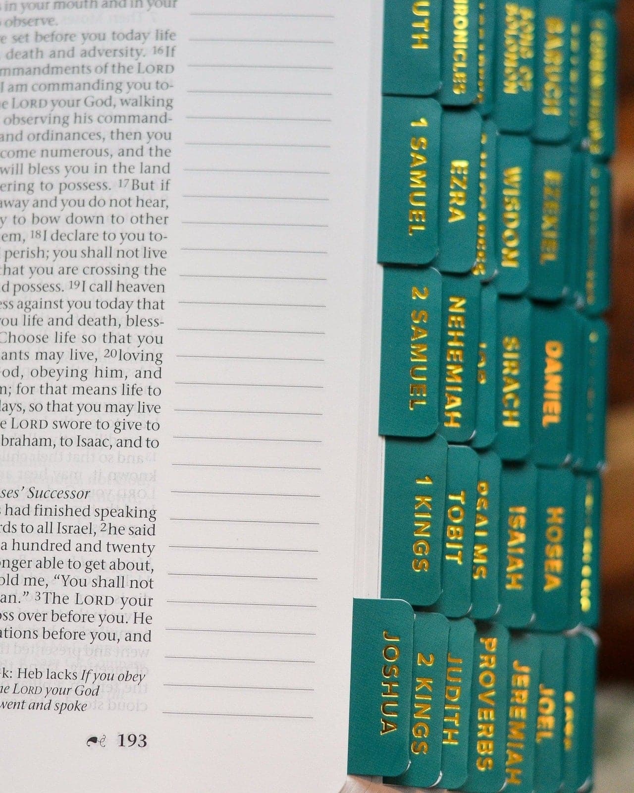 Emerald and Gold Catholic Bible Tabs - Image 10