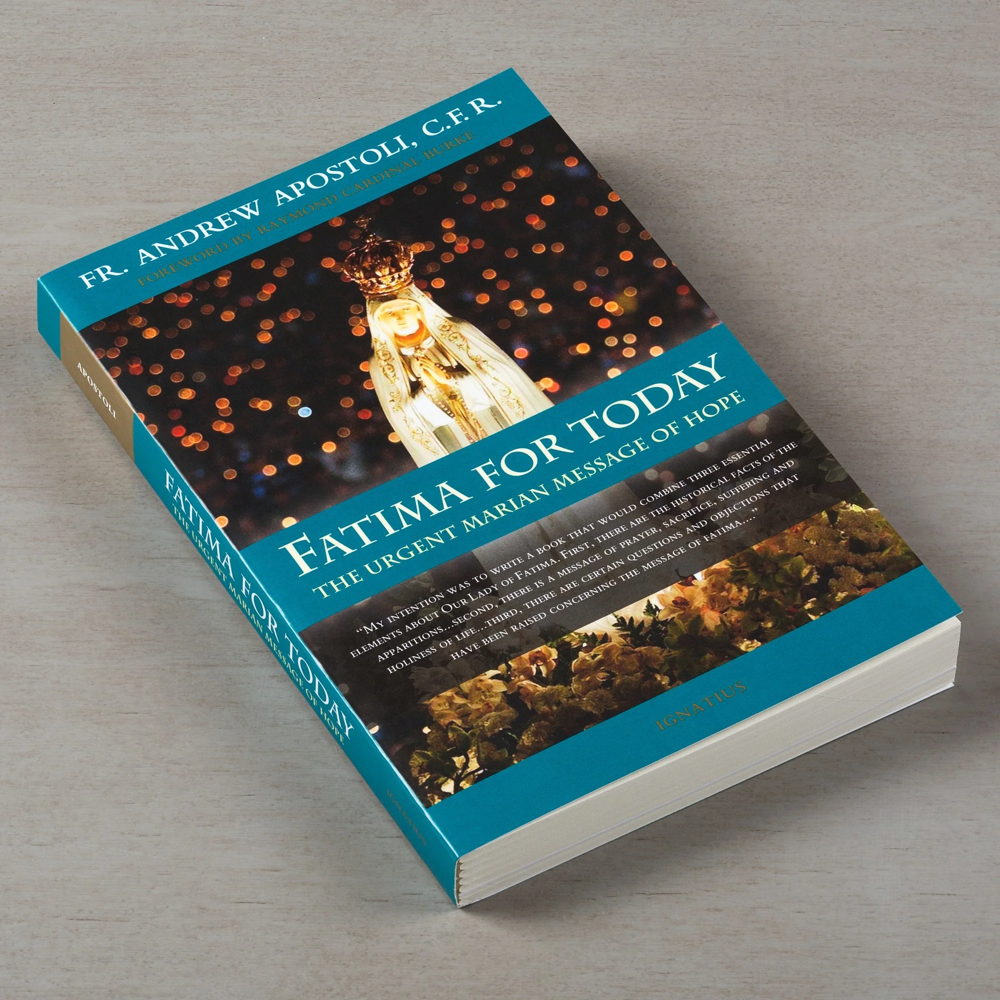 Fatima For Today: The Urgent Marian Message of Hope - Image 2