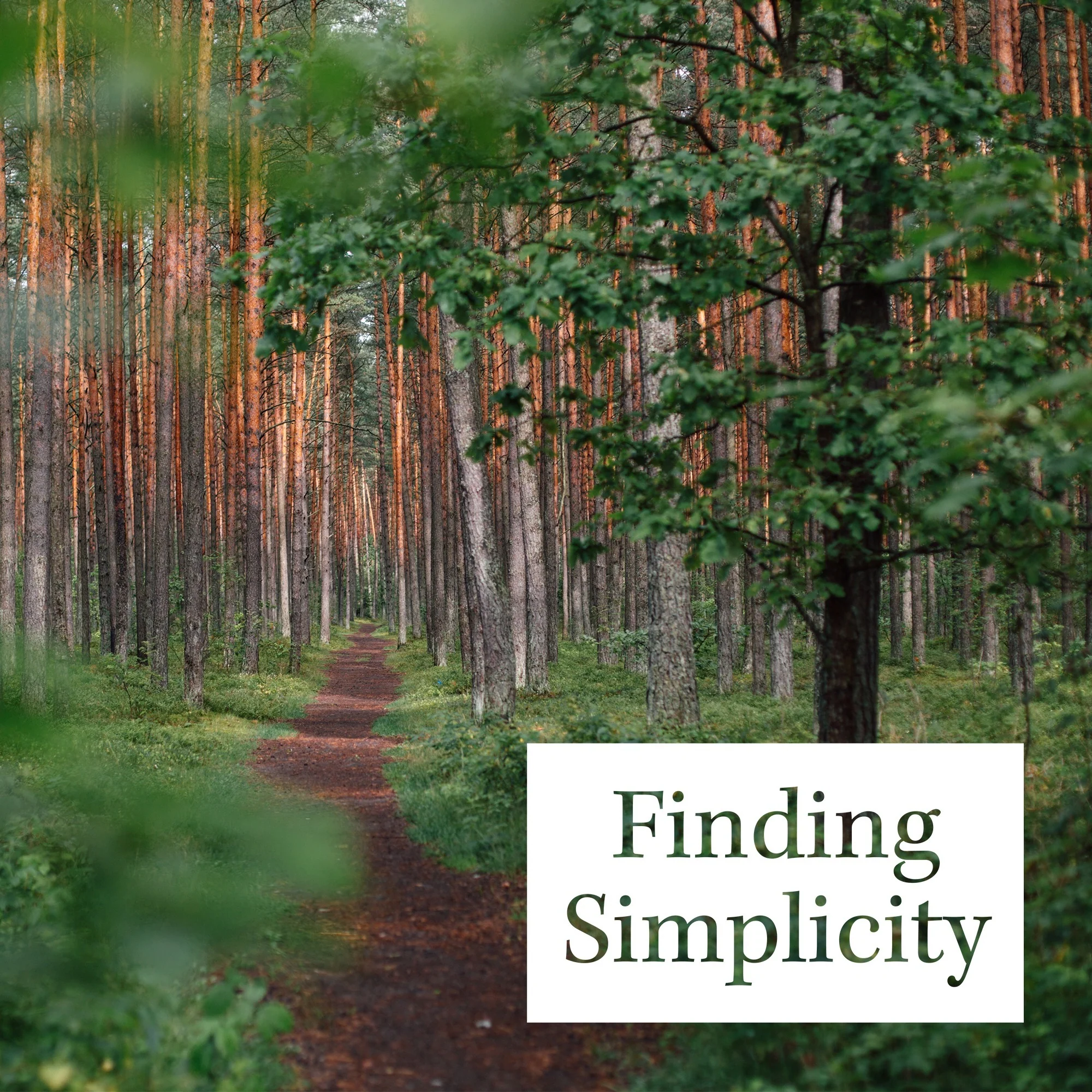 Finding Simplicity - Good Catholic Digital Content Series