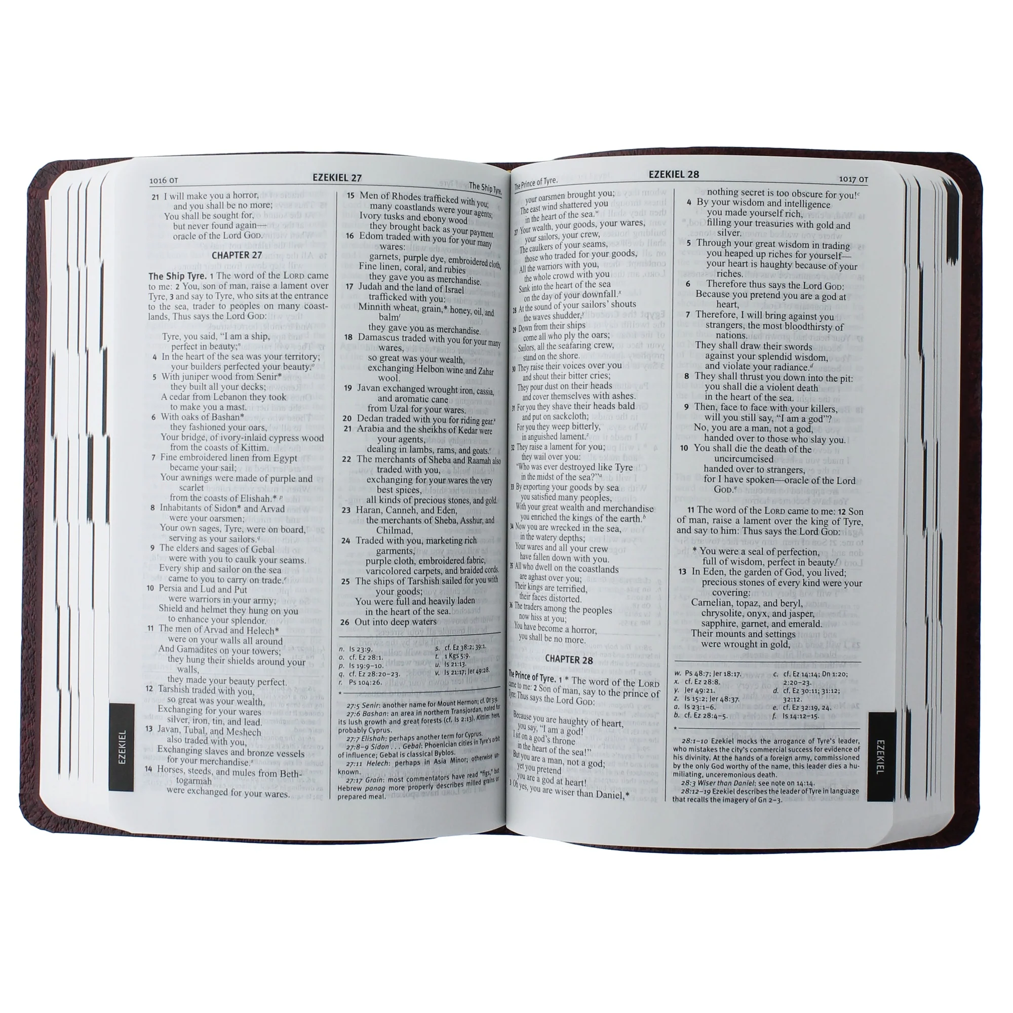 Fireside Study Bible (NAB-RE) Burgundy Leather Flex - Image 2