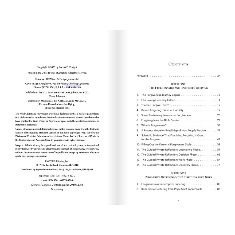 Forgiving as Unity with Christ: A Journey for Healing Resentment and Relationships - Image 2
