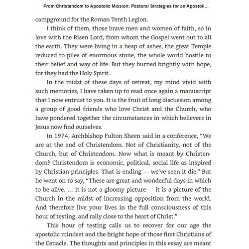 From Christendom to Apostolic Mission: Pastoral Strategies for an Apostolic Age - Image 2
