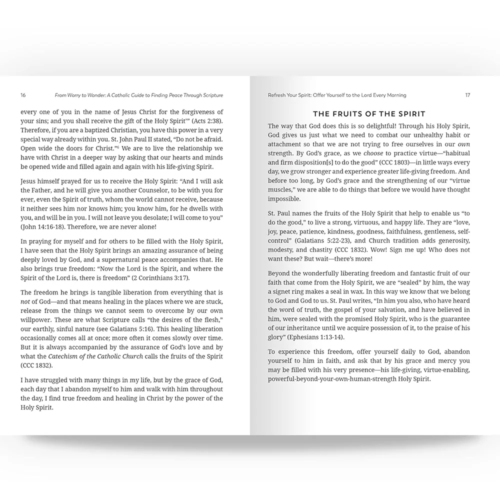 From Worry to Wonder: A Catholic Guide to Finding Peace Through Scripture - Image 5
