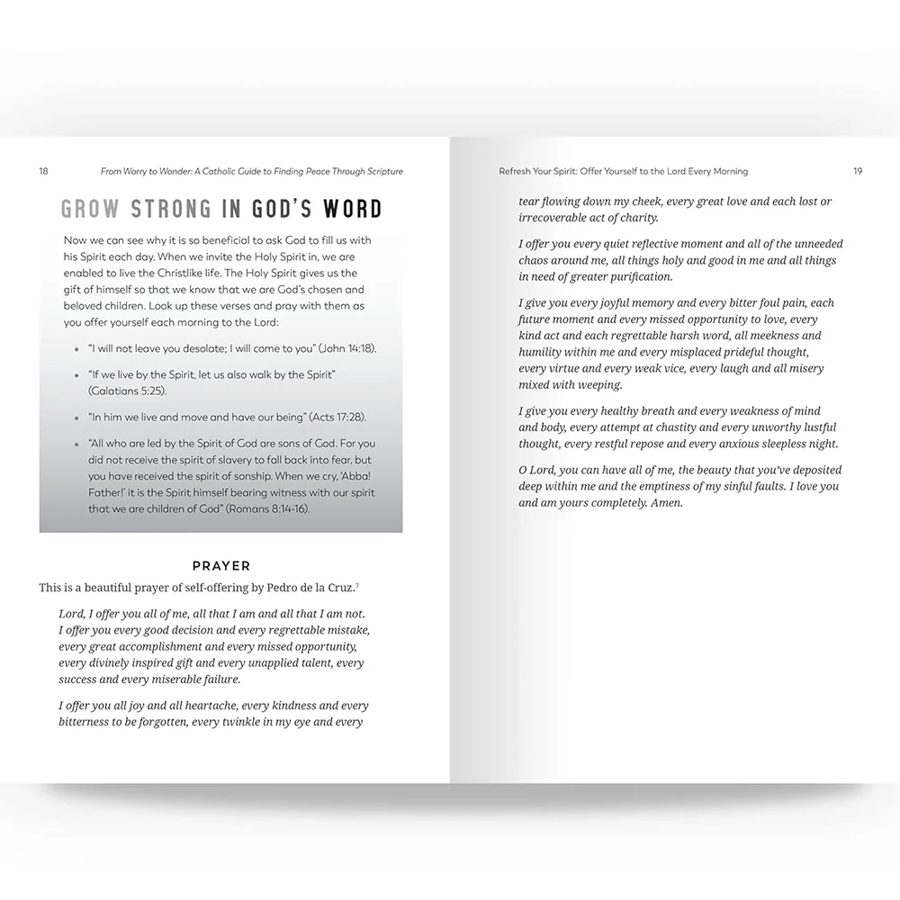 From Worry to Wonder: A Catholic Guide to Finding Peace Through Scripture - Image 6
