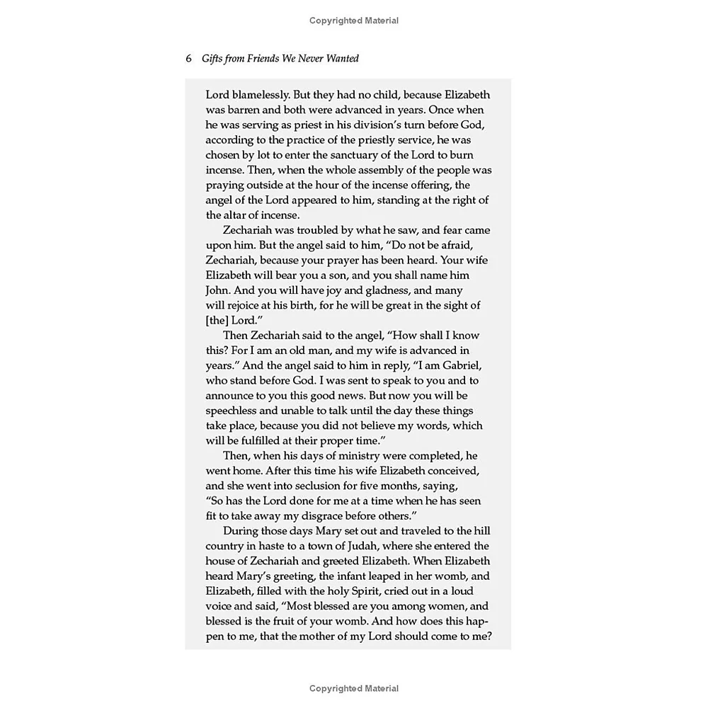 Gifts from Friends We Never Wanted: Biblical Journeys of Grace - Image 6