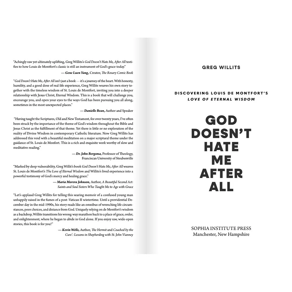 God Doesn't Hate Me After All: Discovering Louis de Montfort's Love of Eternal Wisdom - Image 2