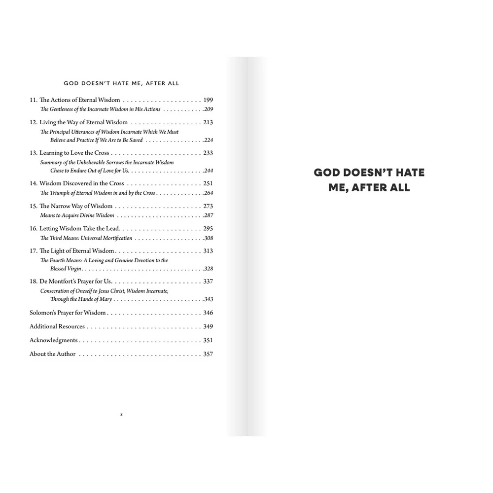 God Doesn't Hate Me After All: Discovering Louis de Montfort's Love of Eternal Wisdom - Image 5