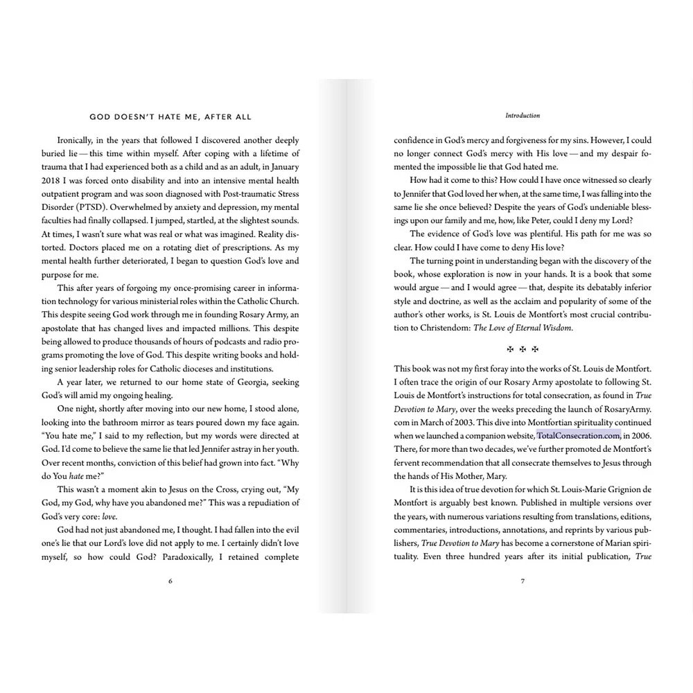 God Doesn't Hate Me After All: Discovering Louis de Montfort's Love of Eternal Wisdom - Image 7