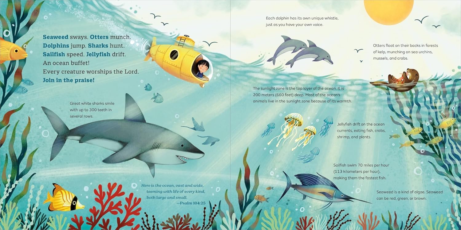 God's Little Oceanographer - Image 3