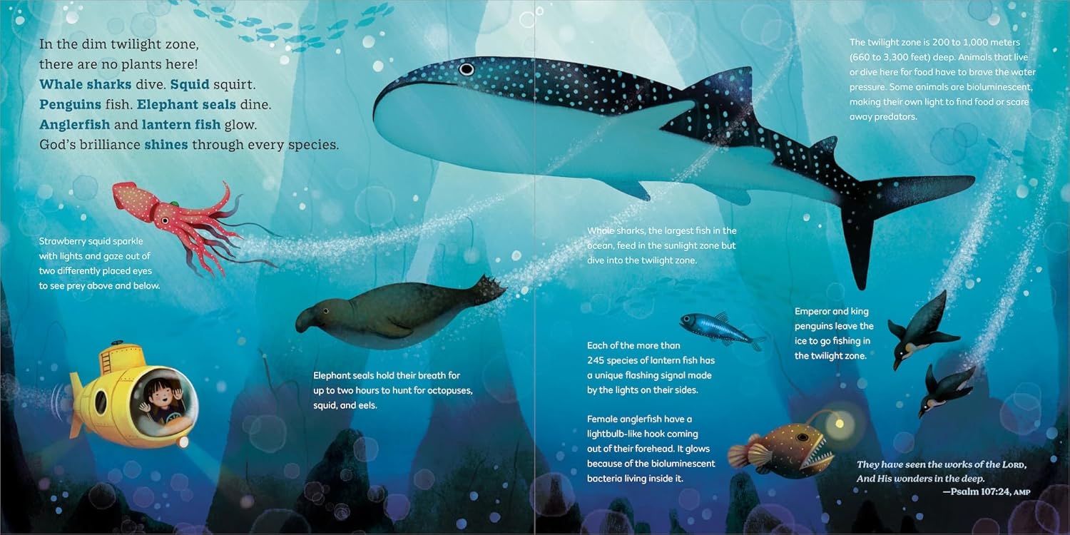 God's Little Oceanographer - Image 4