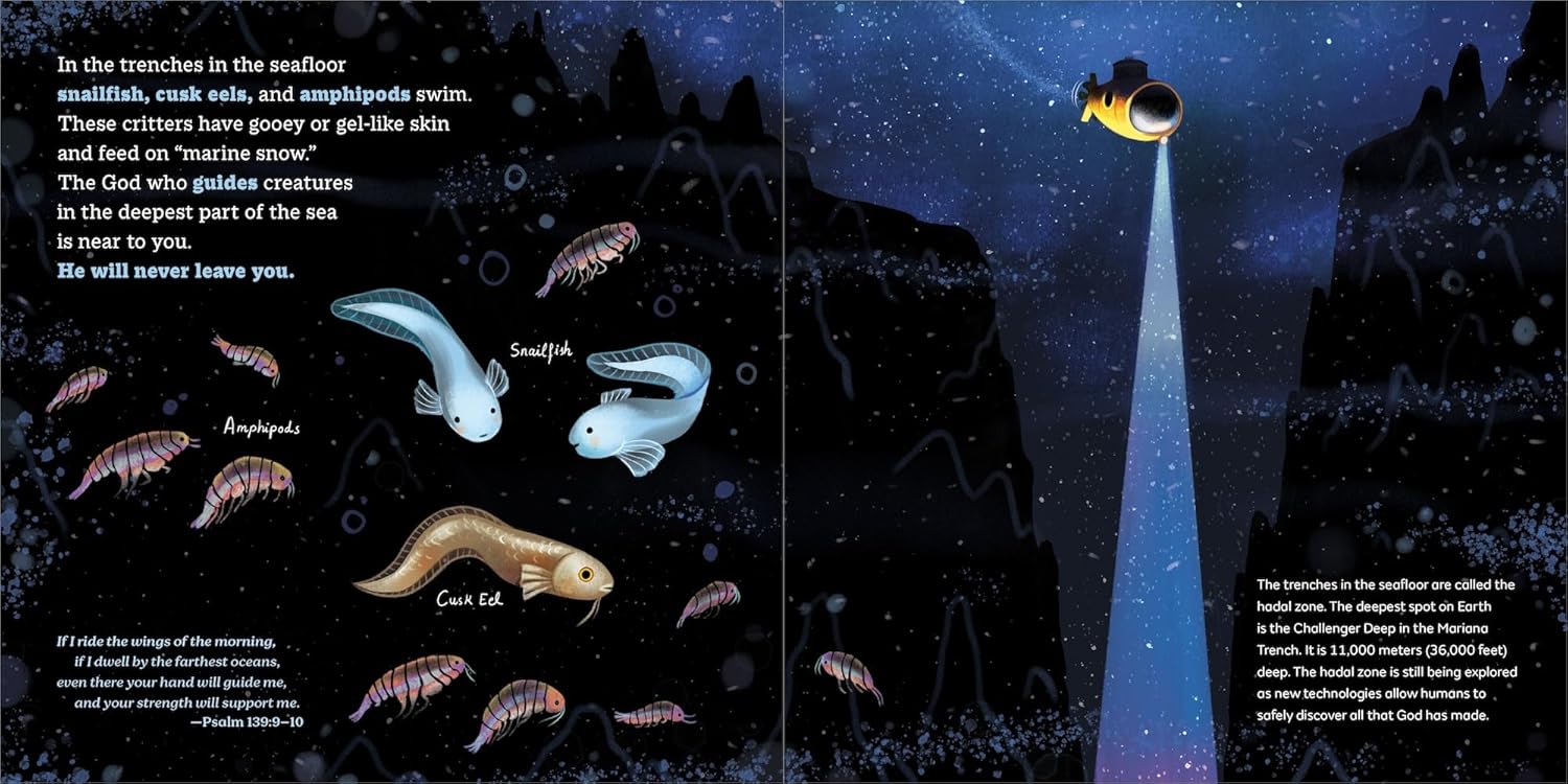 God's Little Oceanographer - Image 5